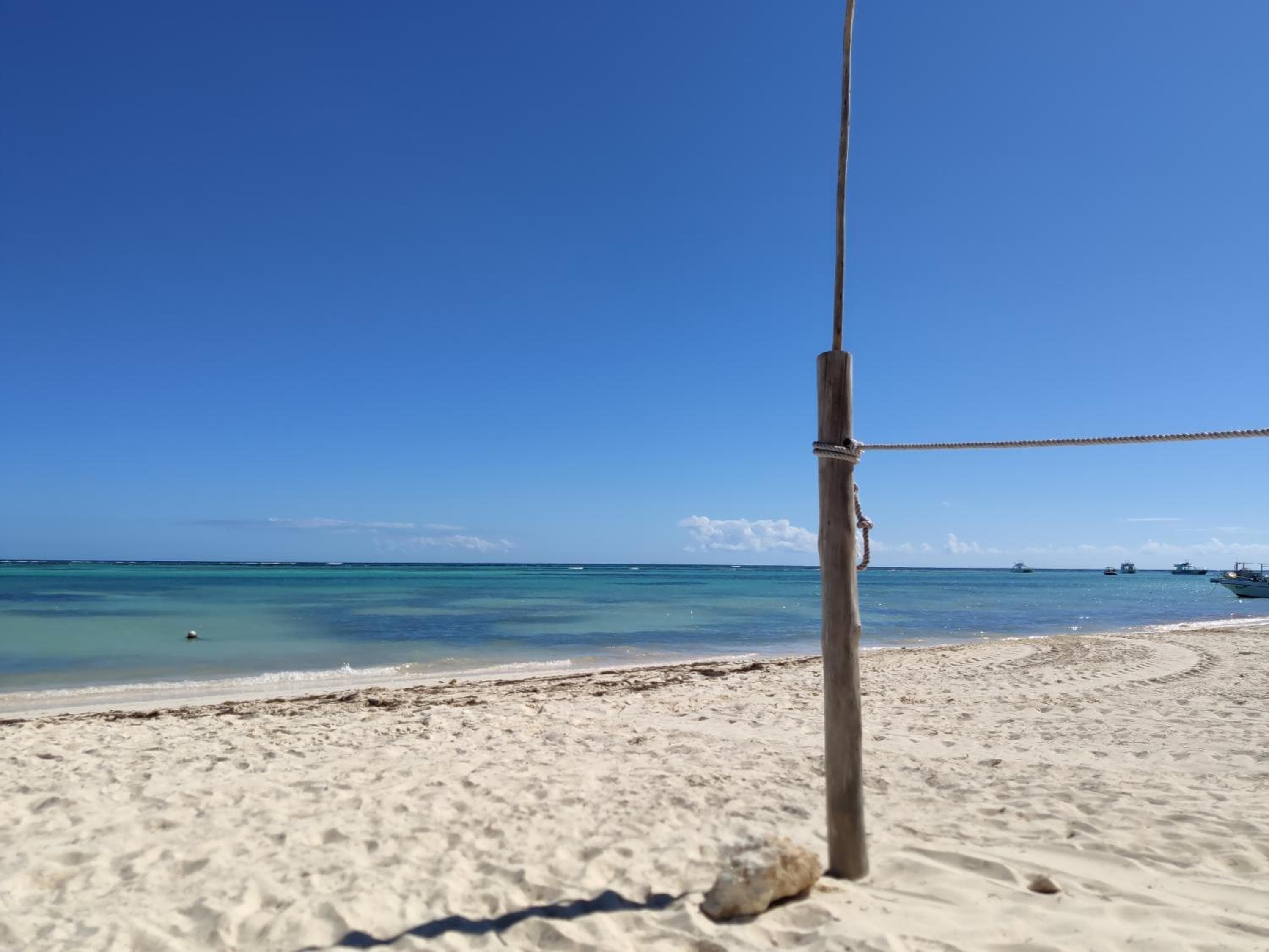 Bavaro Green — 29