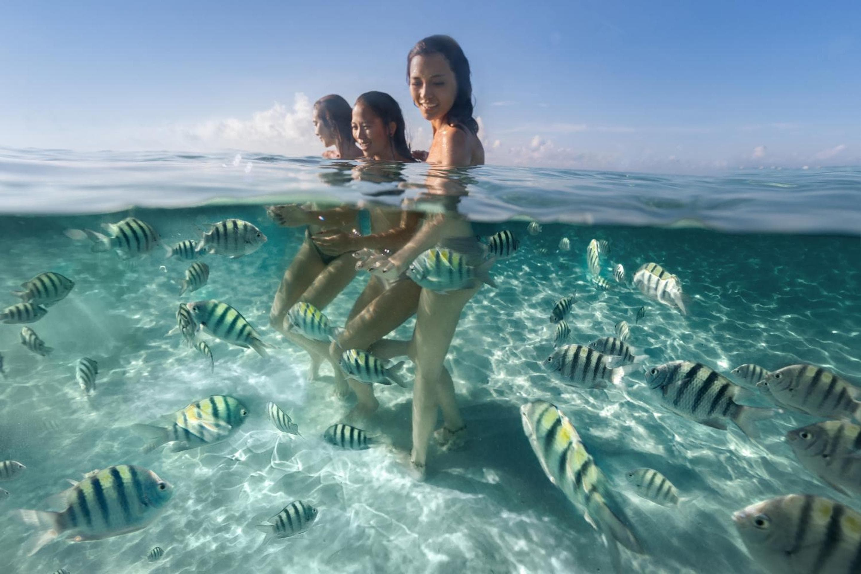 Palmaïa - La casa dell'AïA Wellness Enclave All Inclusive — 20
