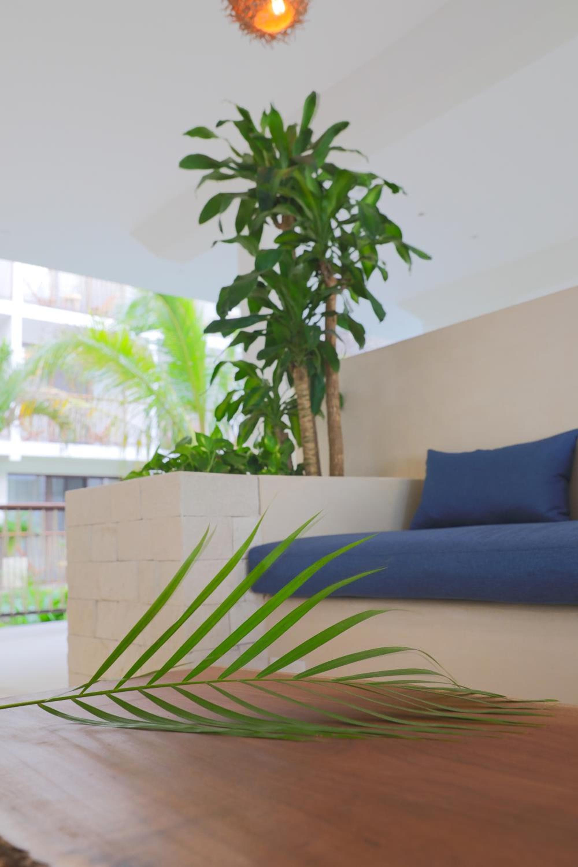Hotel Blanco Tulum Adults Only — 7