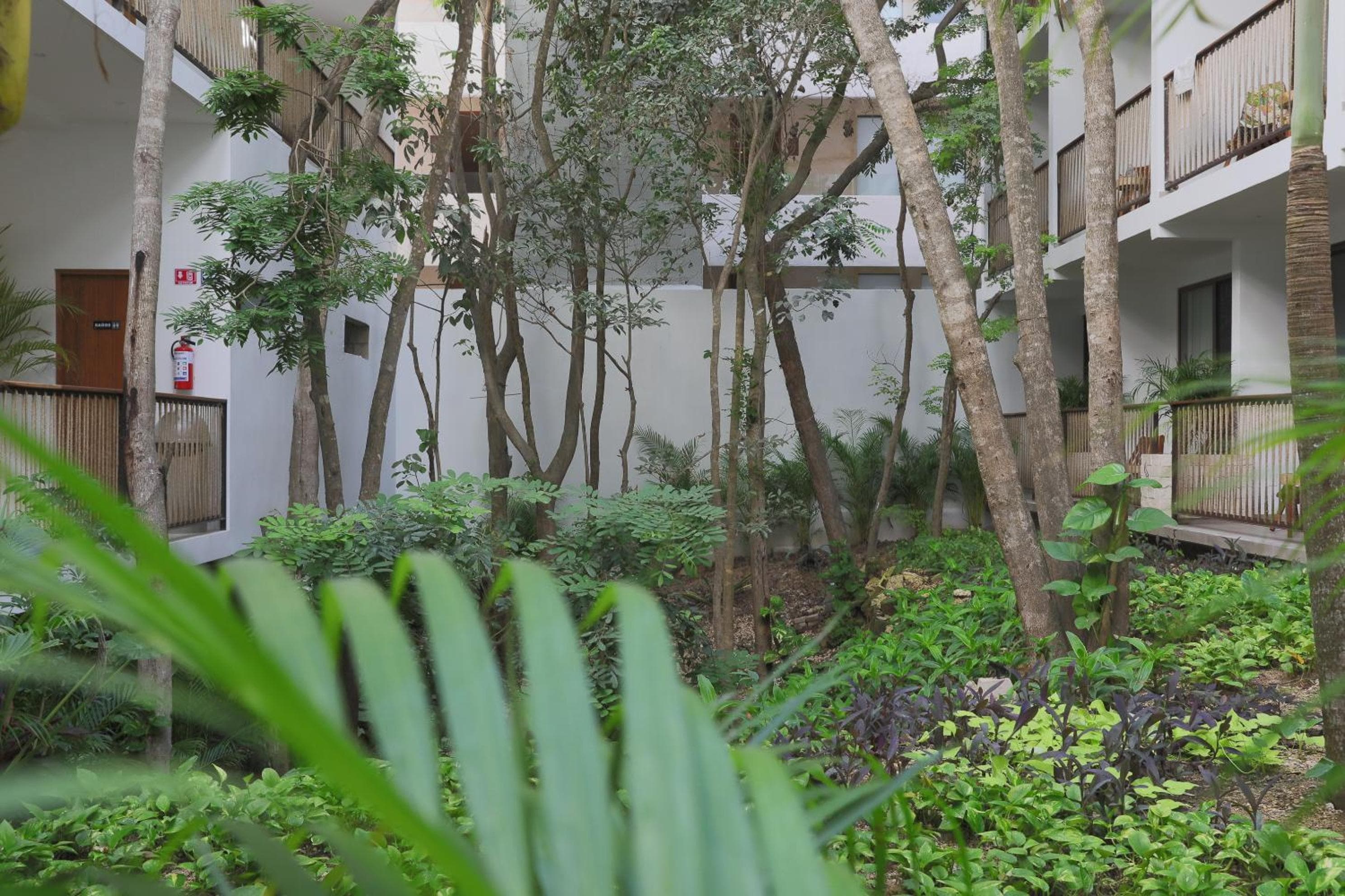 Hotel Blanco Tulum Adults Only — 6