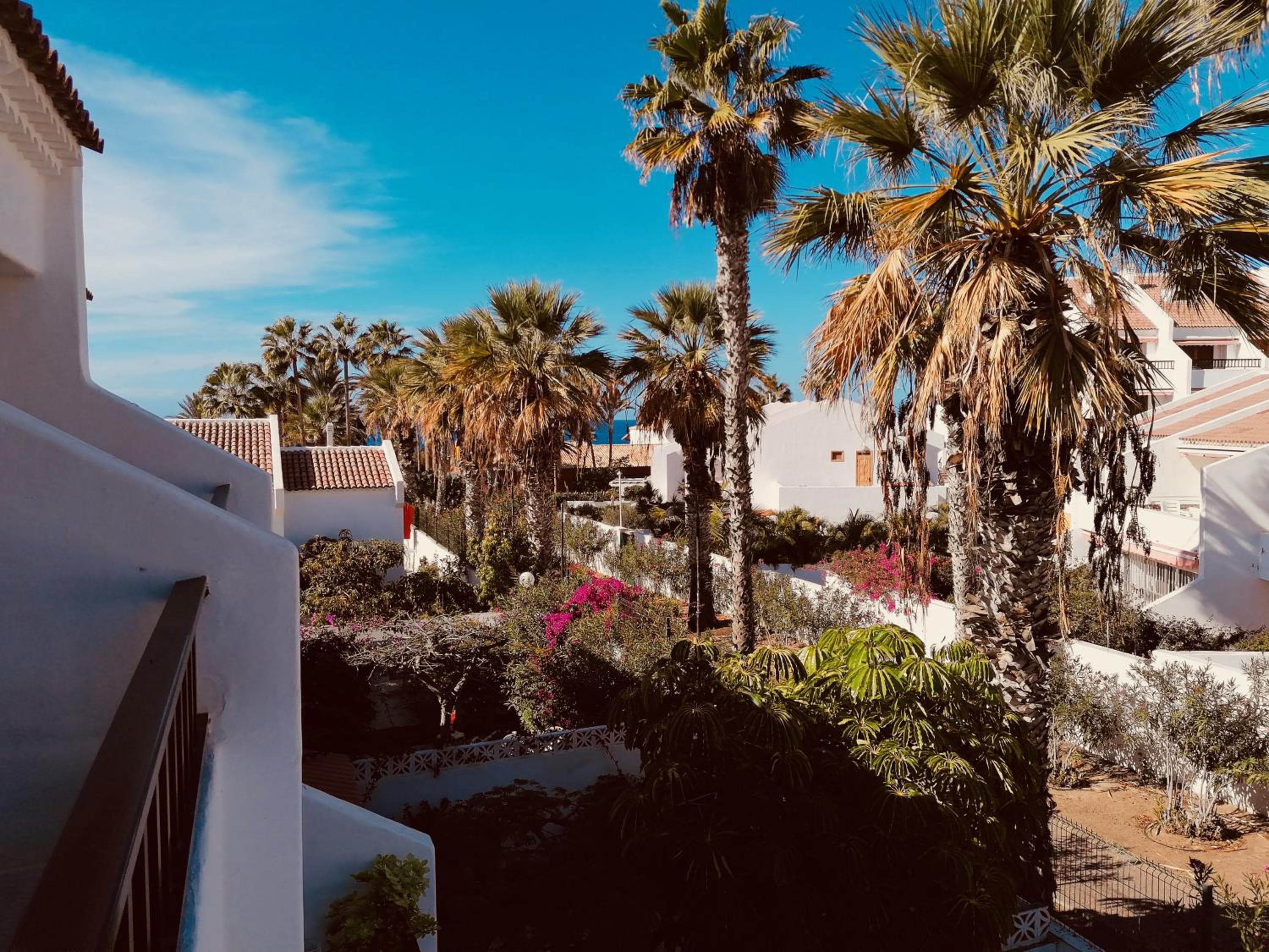 Americas Holiday Home — 3