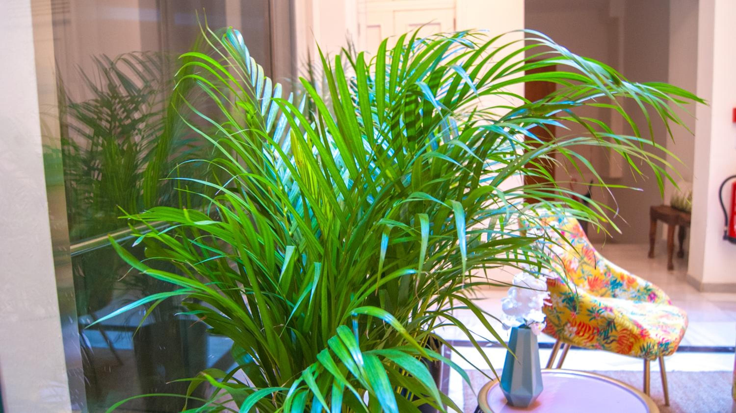 Dulce Sevilla Suites — 13