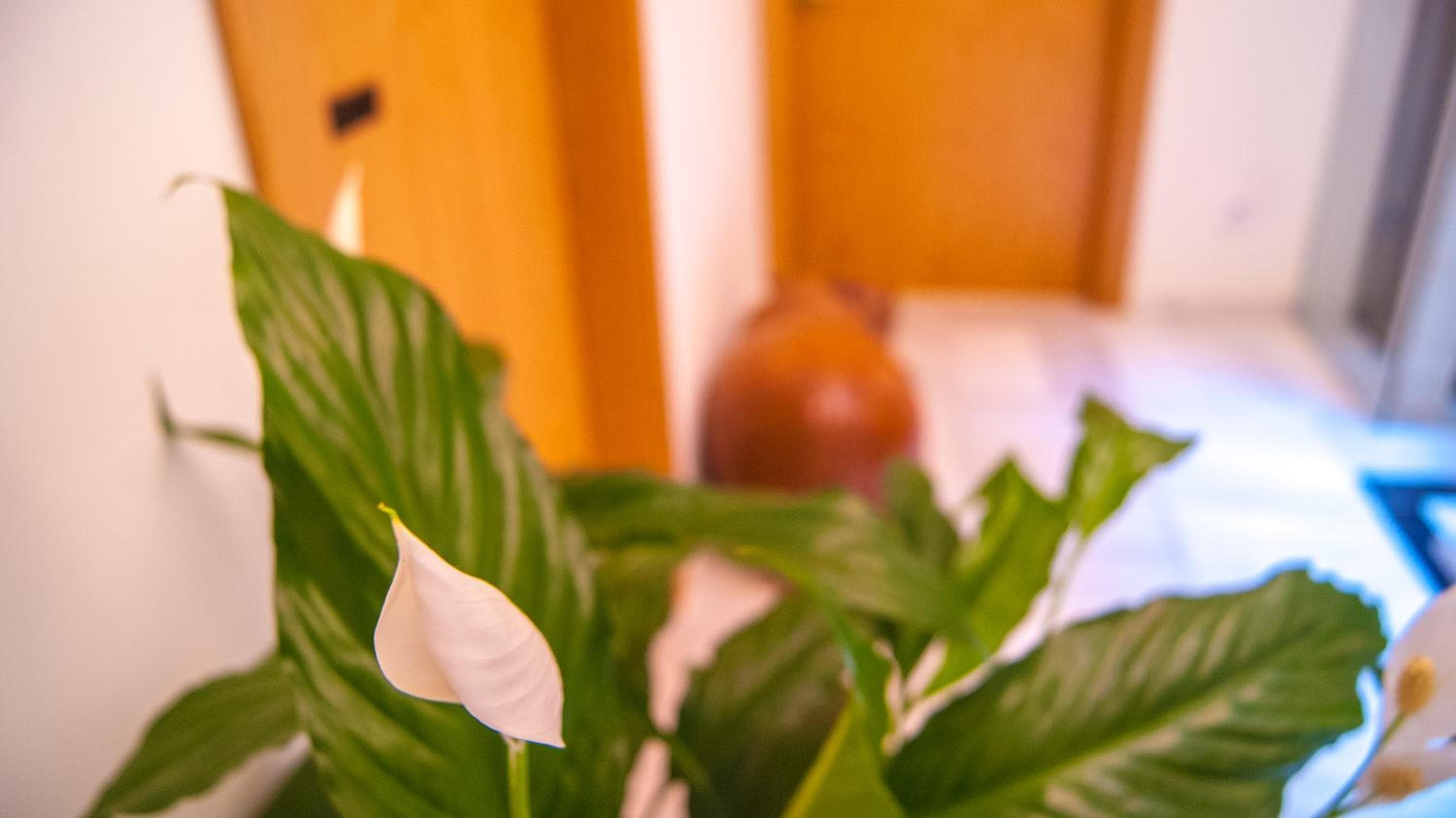 Dulce Sevilla Suites — 16