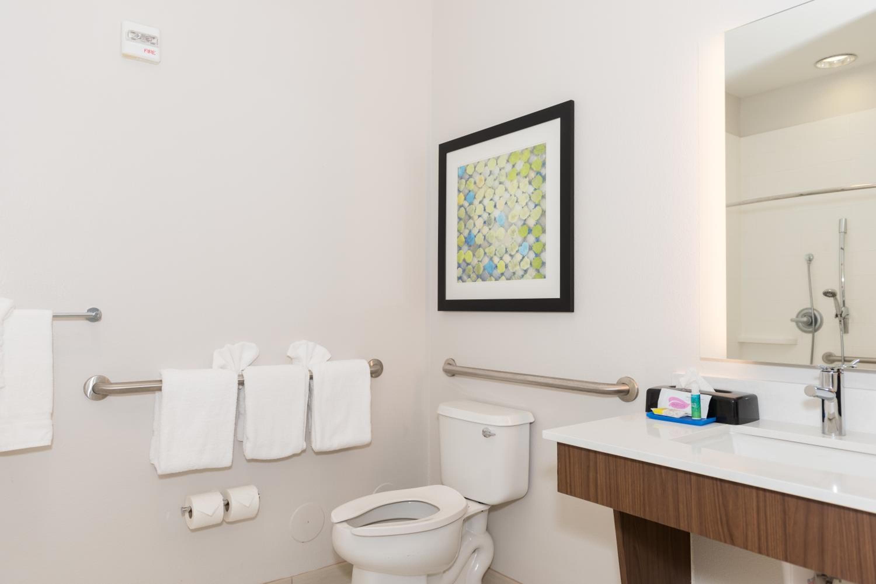 Holiday Inn Express Hotel & Suites Tampa-USF-Busch Gardens by IHG — 2