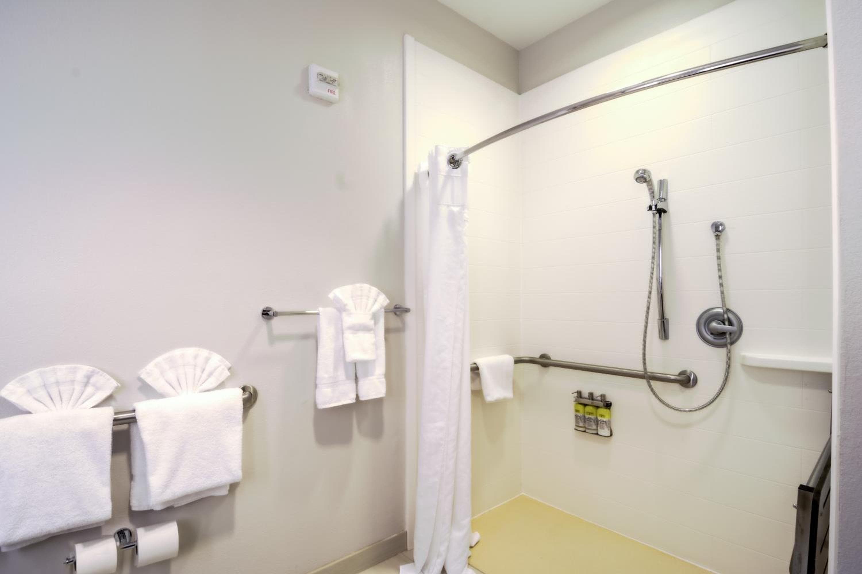 Holiday Inn Express Hotel & Suites Tampa-USF-Busch Gardens by IHG — 3