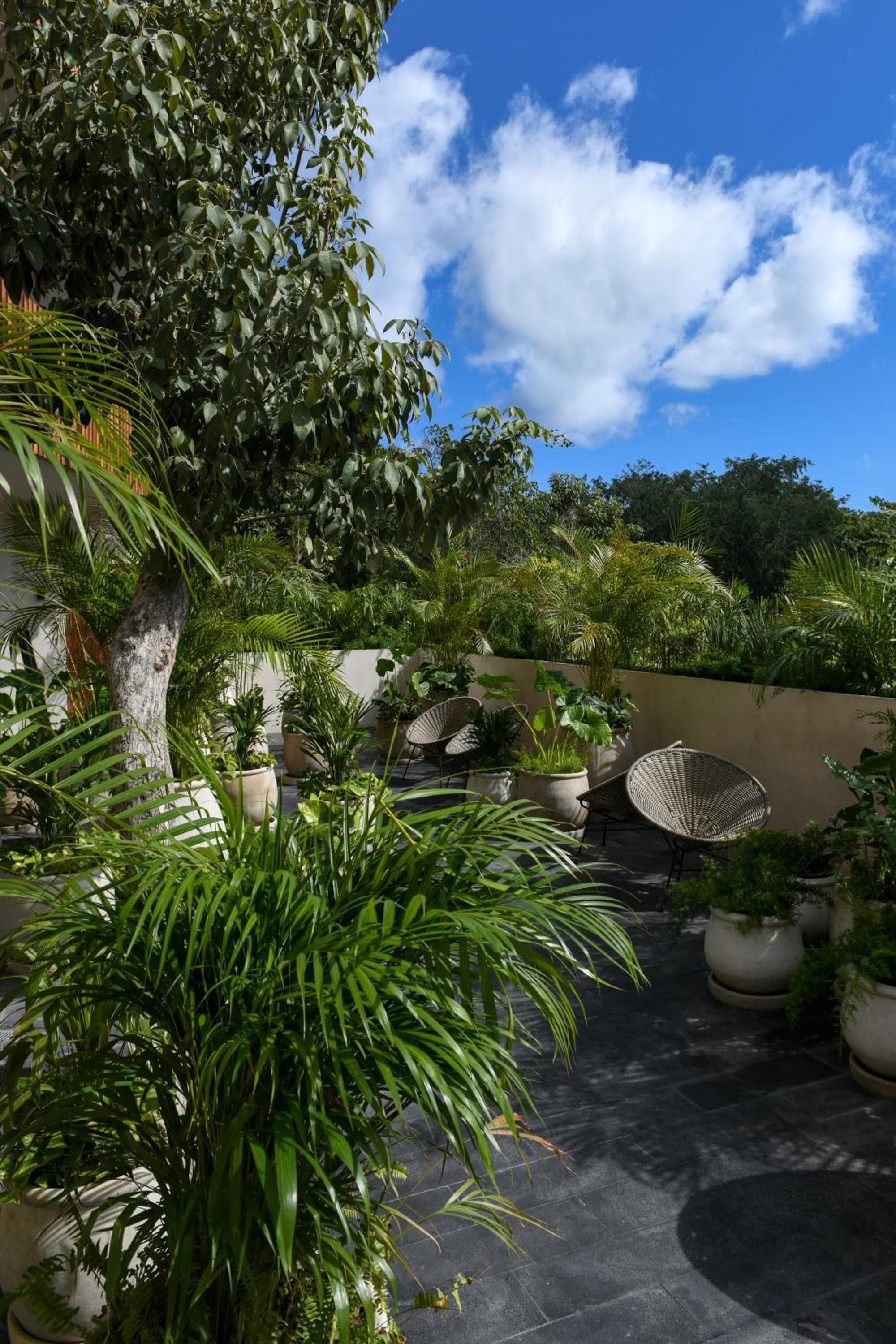 Casa Agape Hotel Tulum y restaurante vegano con acceso al club de playa — 28