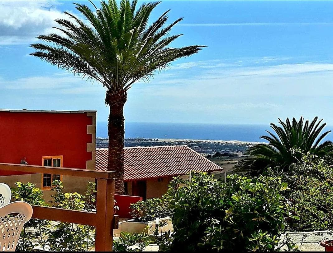 The Black Horse Canarias - Adults Only — 2