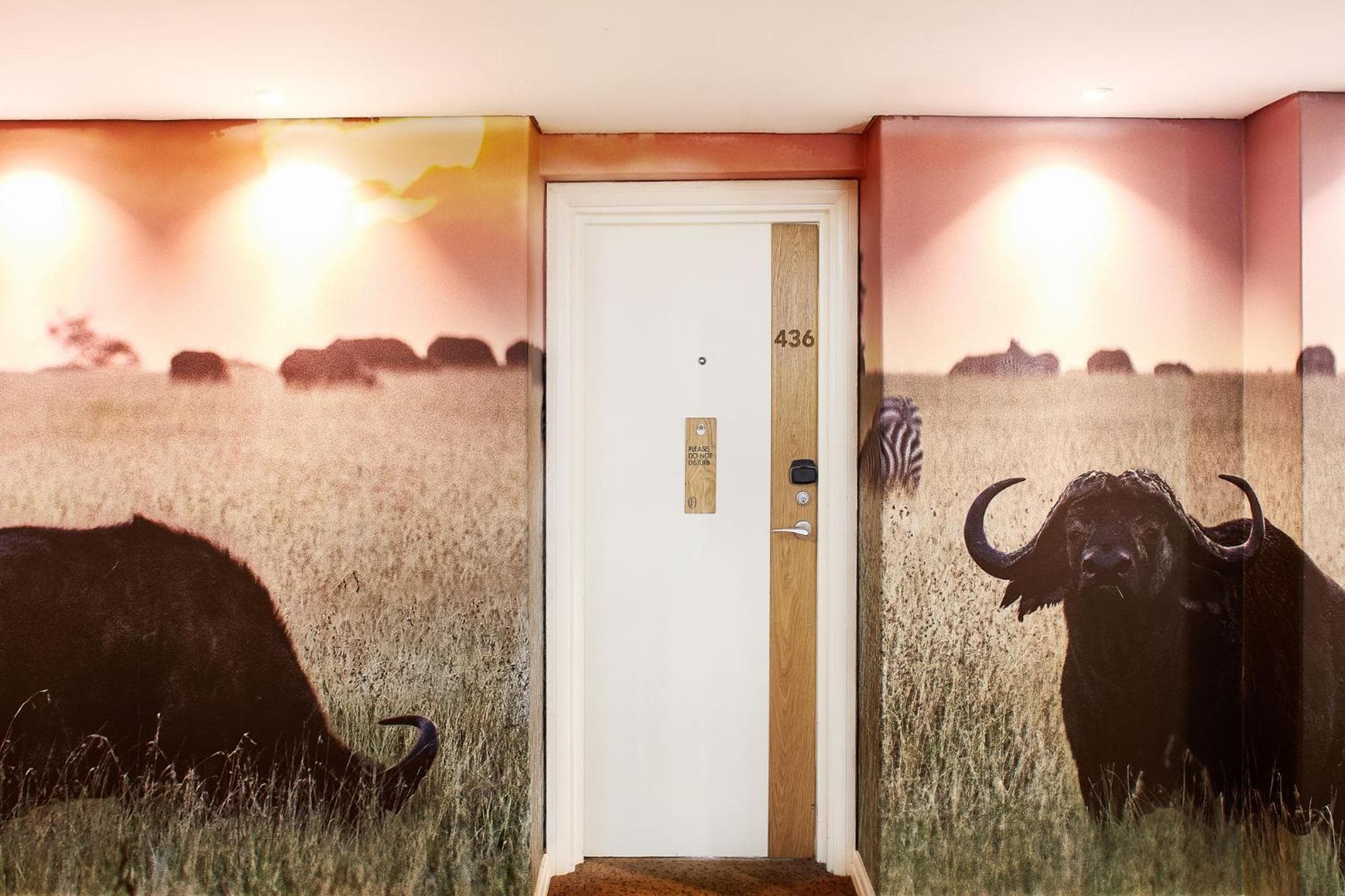 President Hotel hotel, 4 Alexander Road, Bantry Bay, Cape Town, South Africa — photo 100