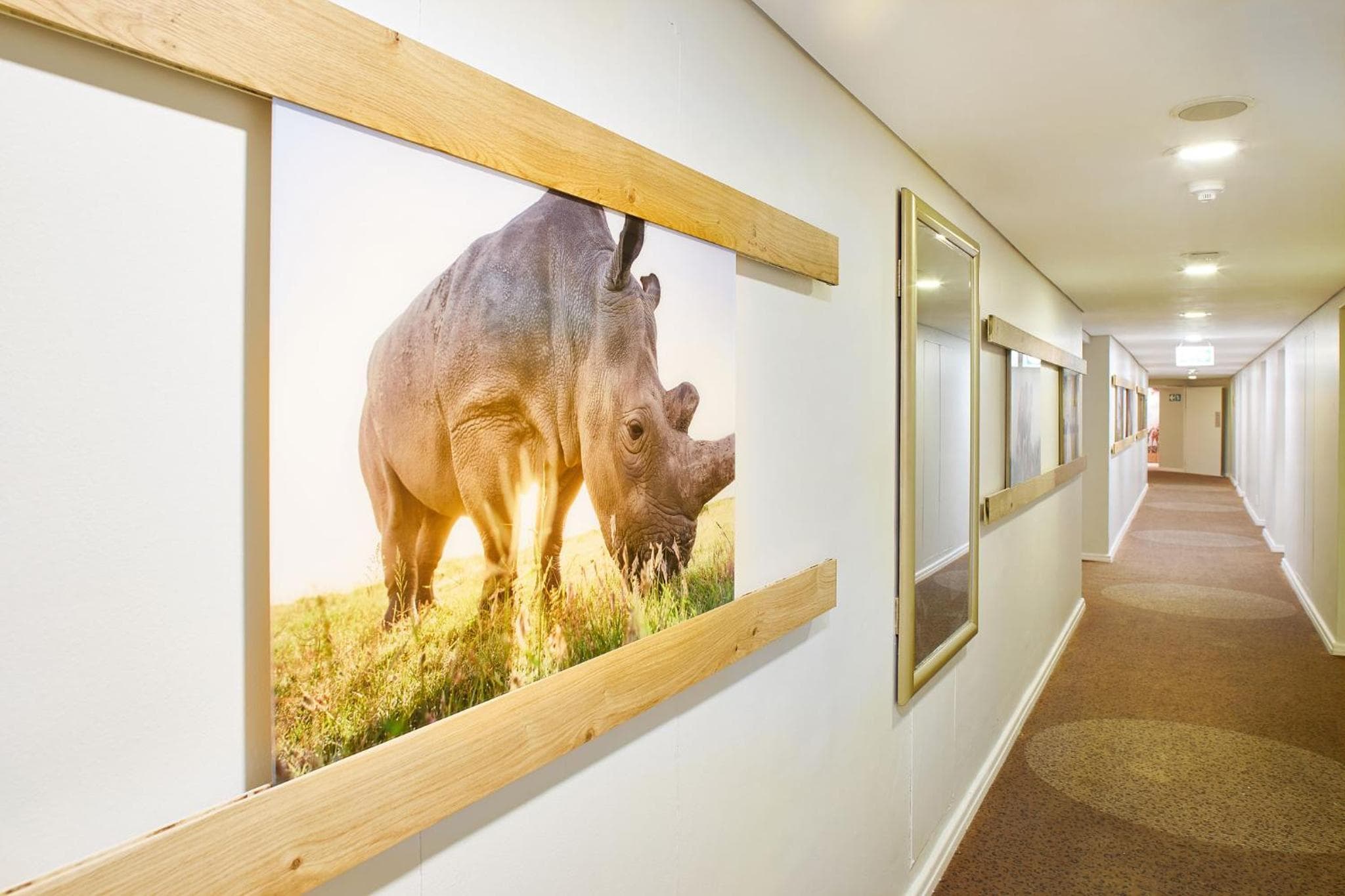 President Hotel hotel, 4 Alexander Road, Bantry Bay, Cape Town, South Africa — photo 98