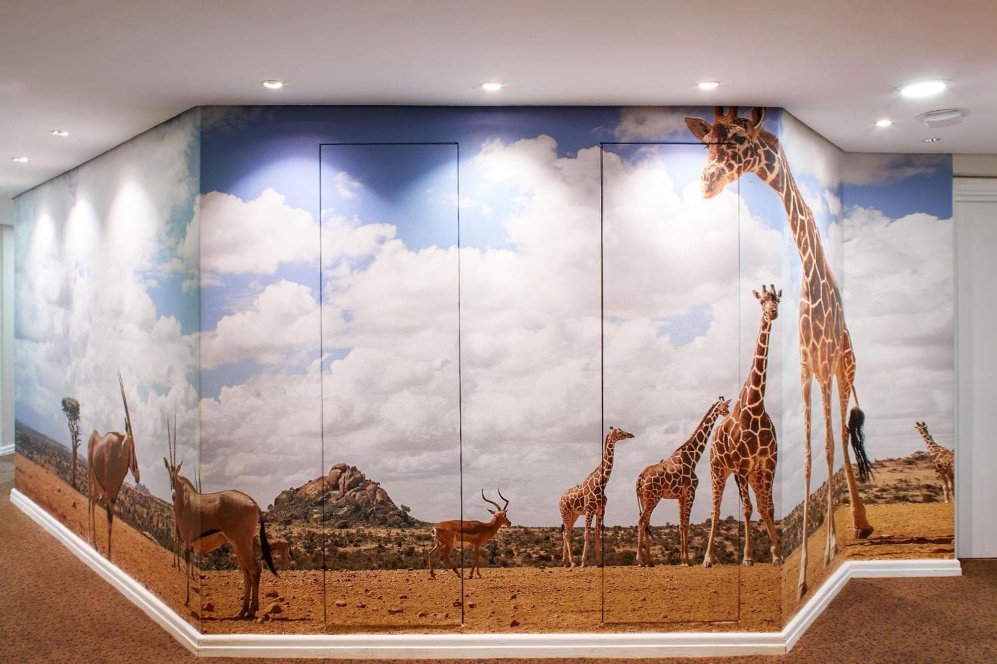 President Hotel hotel, 4 Alexander Road, Bantry Bay, Cape Town, South Africa — photo 101