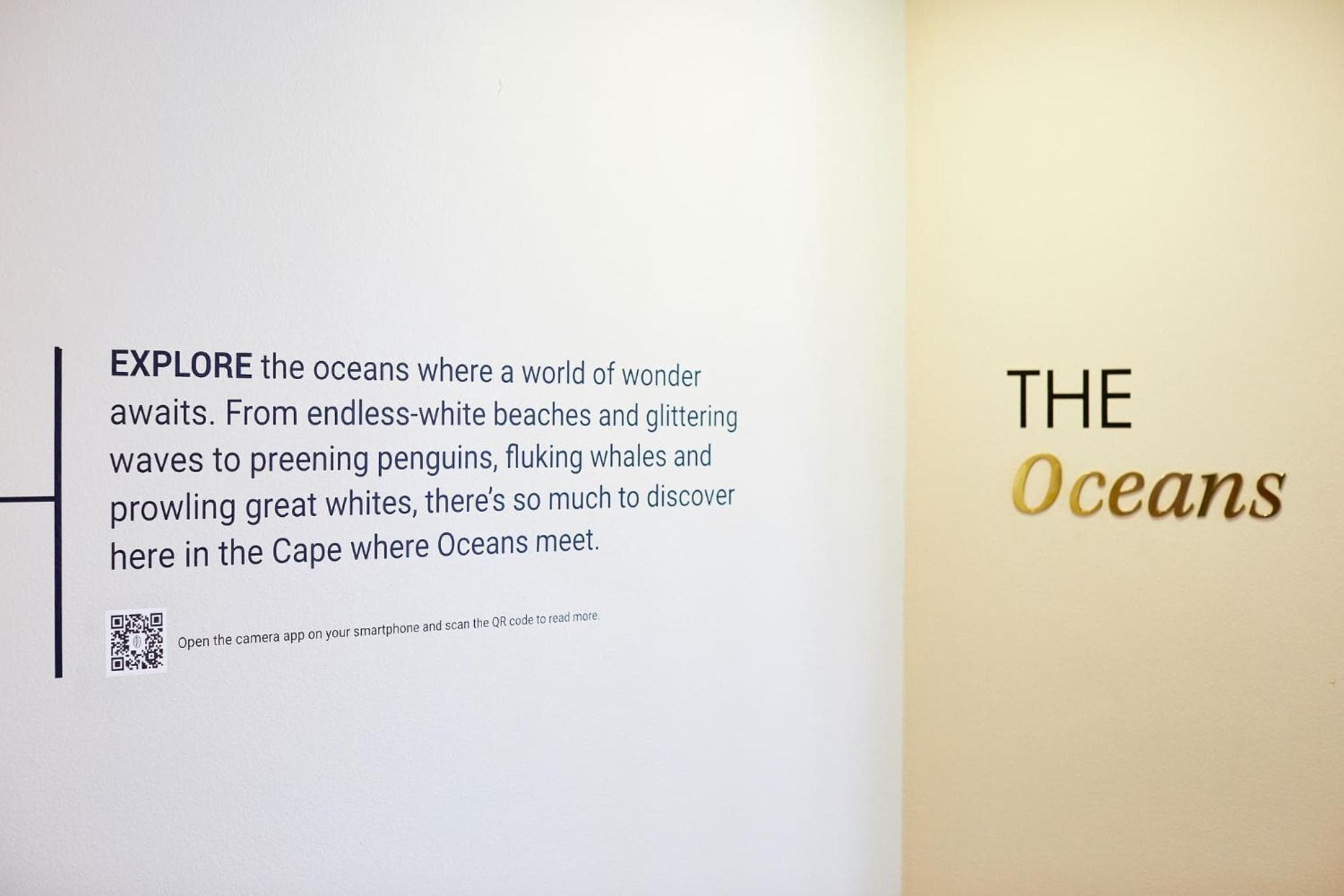 President Hotel hotel, 4 Alexander Road, Bantry Bay, Cape Town, South Africa — photo 108