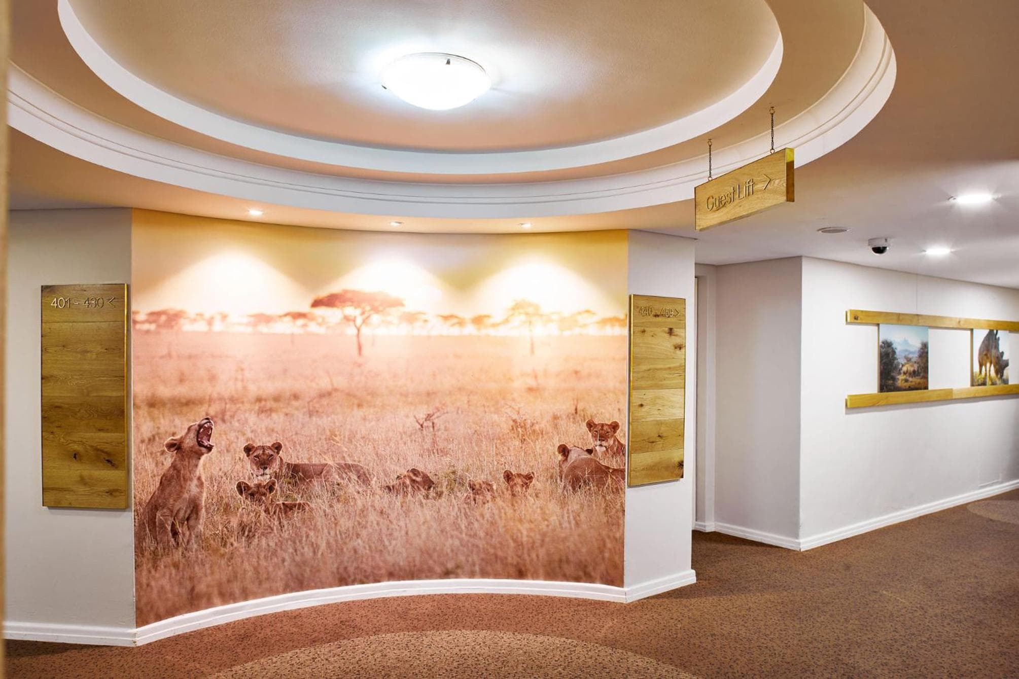 President Hotel hotel, 4 Alexander Road, Bantry Bay, Cape Town, South Africa — photo 113