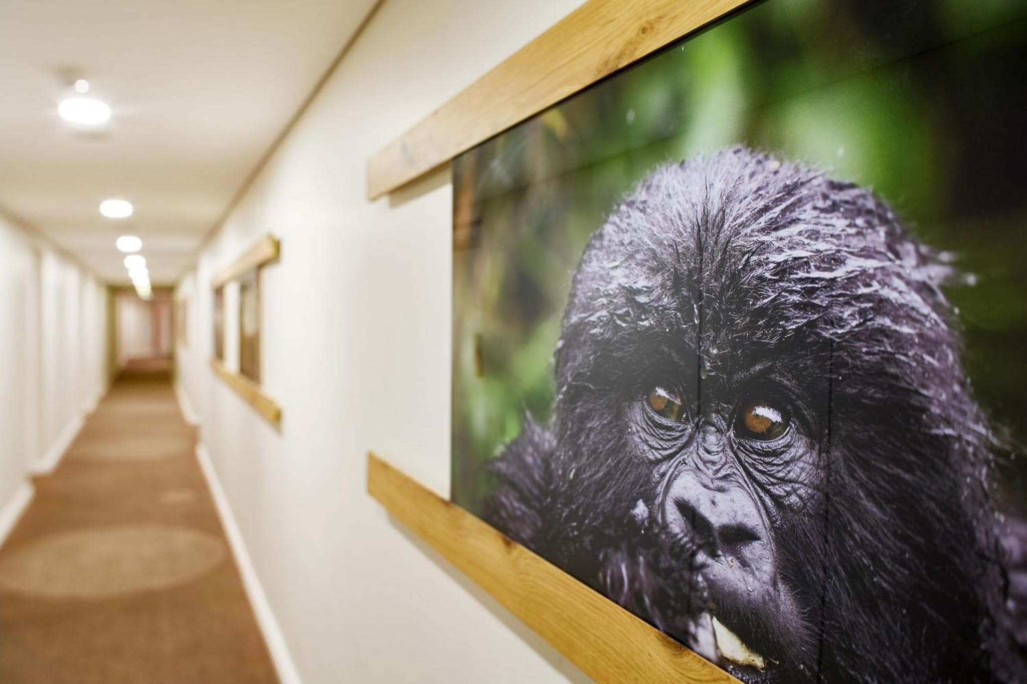 President Hotel hotel, 4 Alexander Road, Bantry Bay, Cape Town, South Africa — photo 99