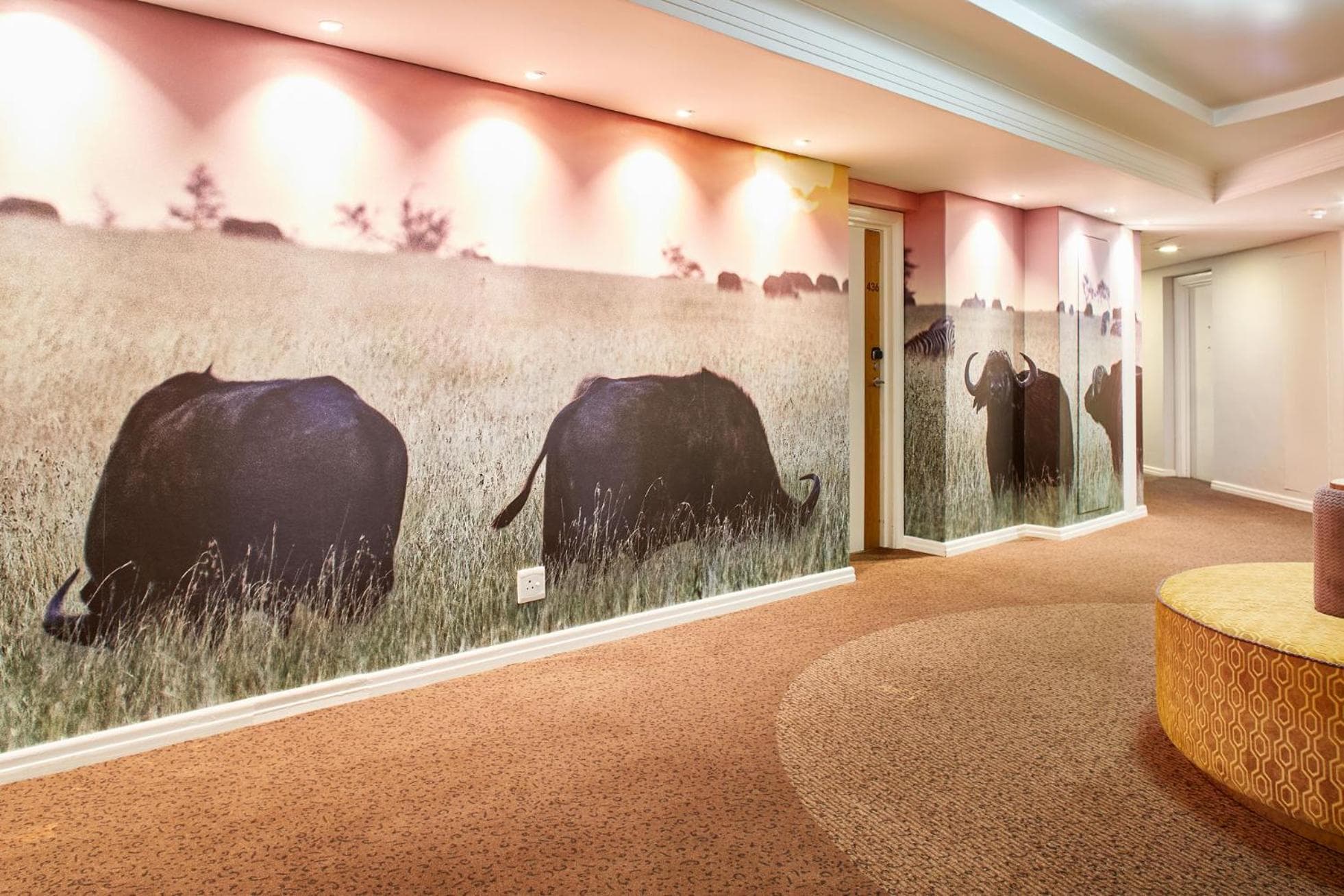 President Hotel hotel, 4 Alexander Road, Bantry Bay, Cape Town, South Africa — photo 56