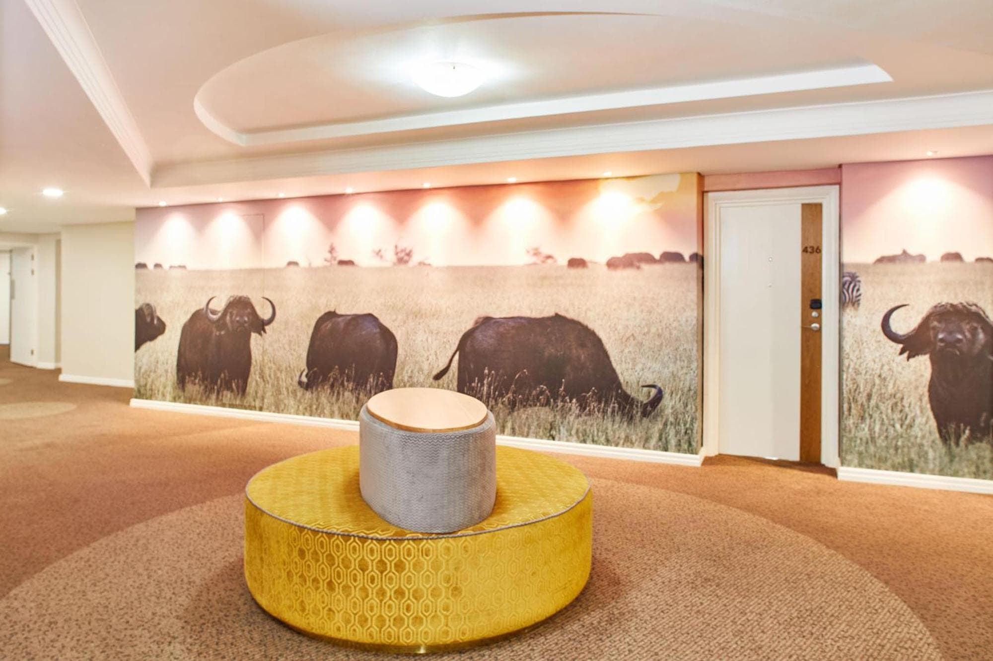 President Hotel hotel, 4 Alexander Road, Bantry Bay, Cape Town, South Africa — photo 102