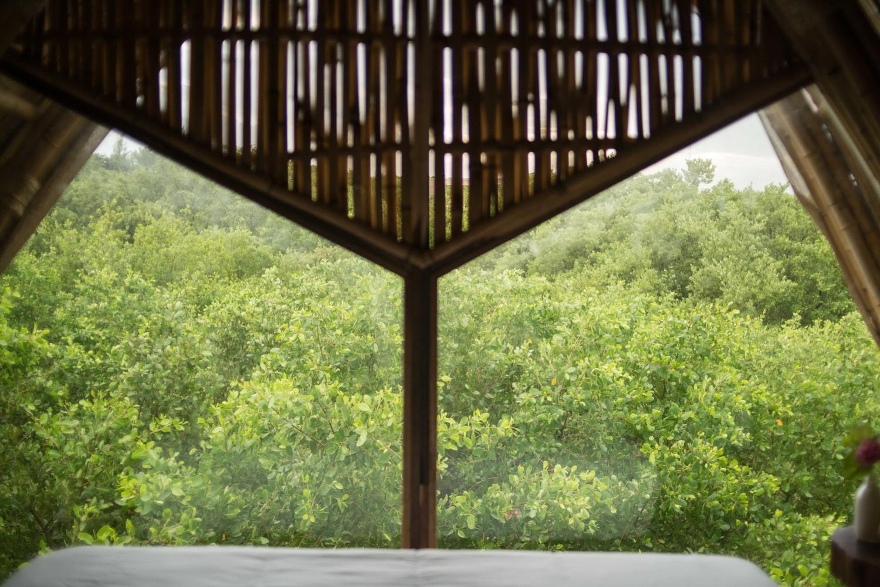 Mamasan Treehouses & Cabins — 24