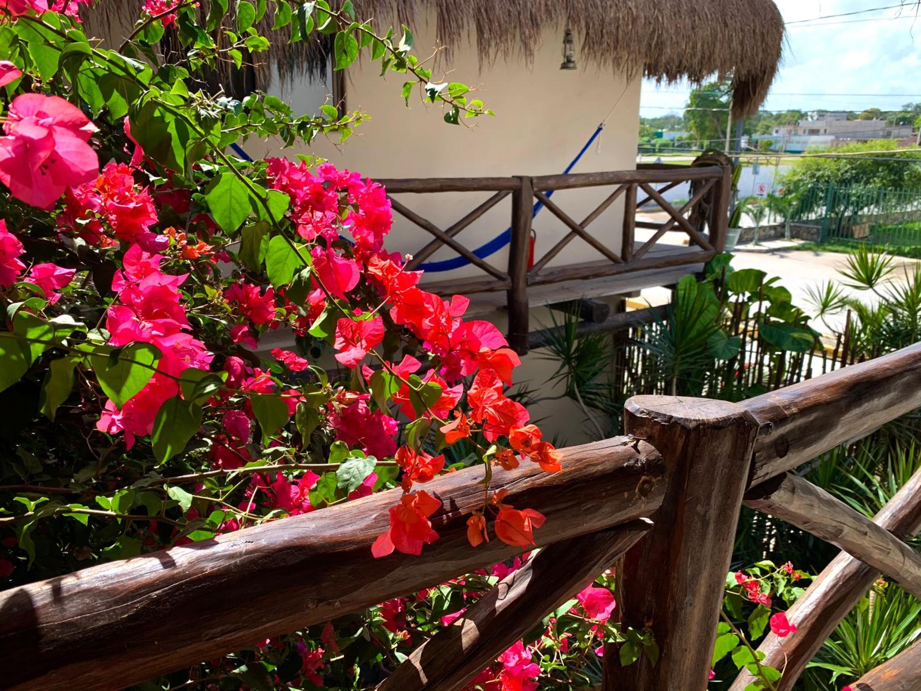 Chi siamo Petit Hotel Tulum — 5