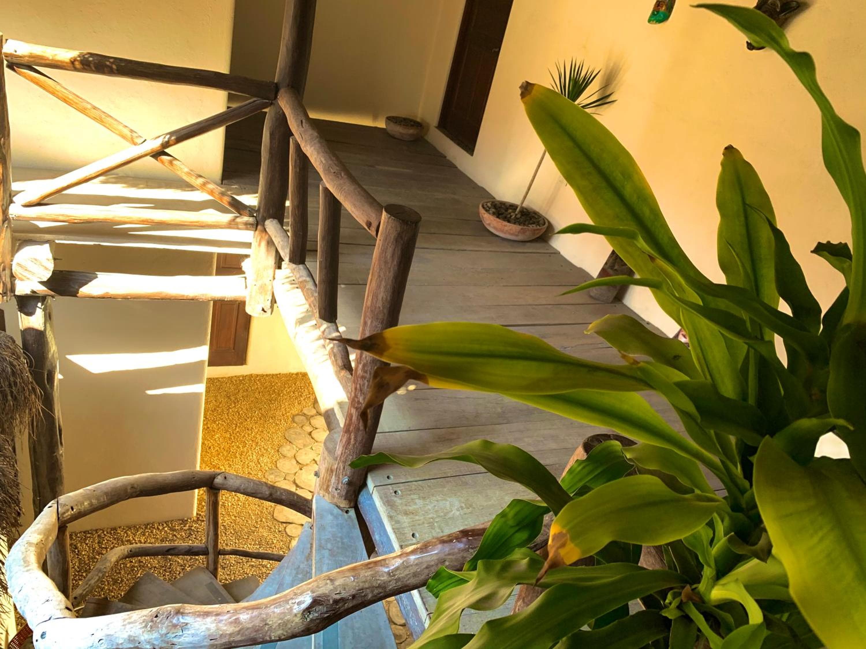 Chi siamo Petit Hotel Tulum — 10
