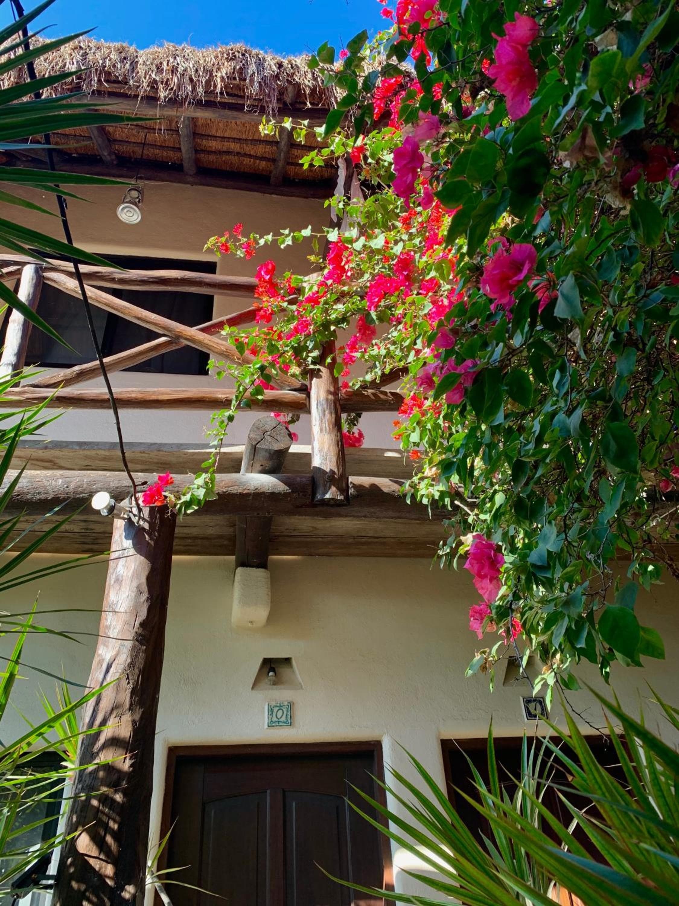 Chi siamo Petit Hotel Tulum — 12