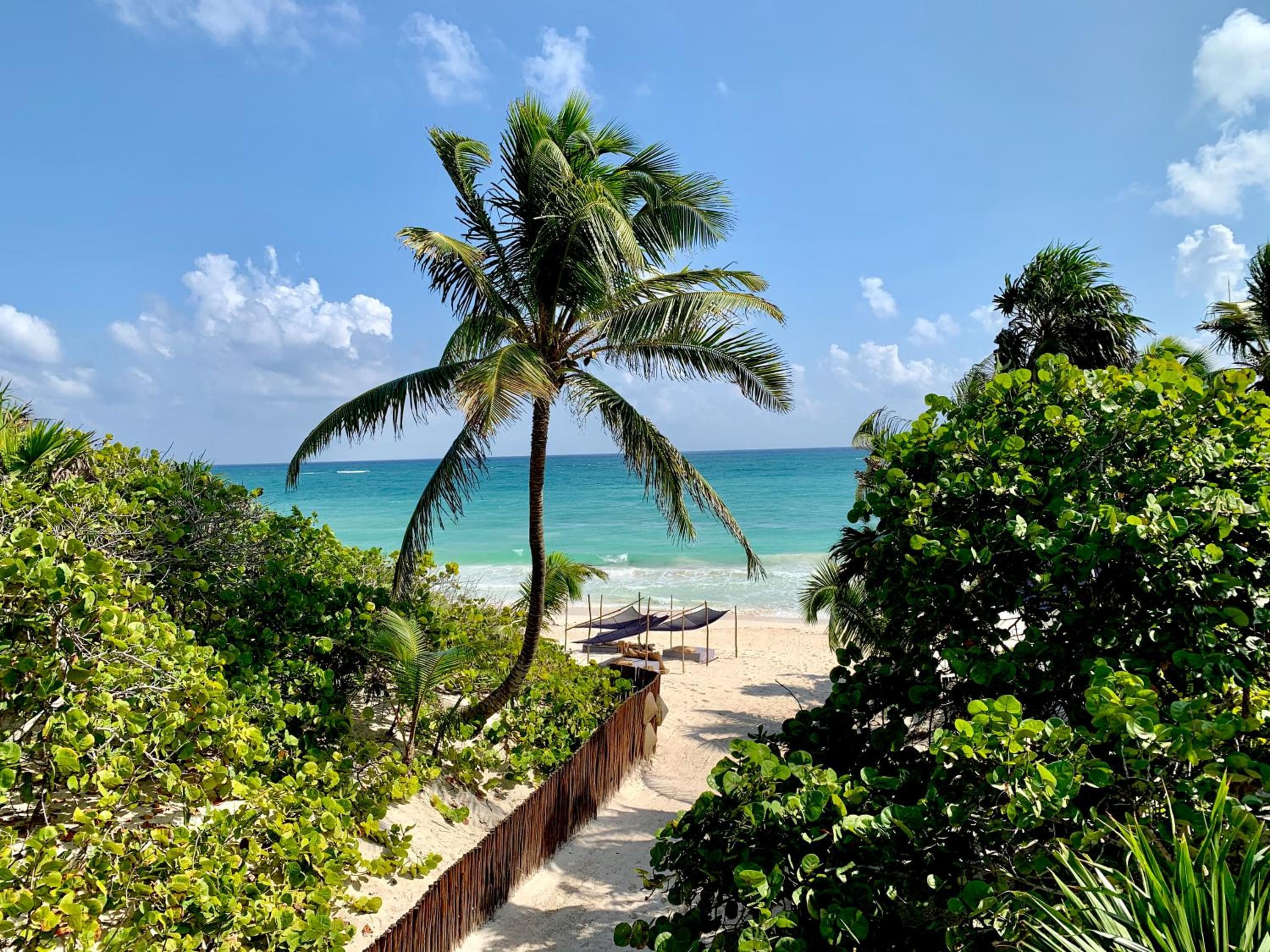 Libelula Tulum Beachfront Hotel — 20