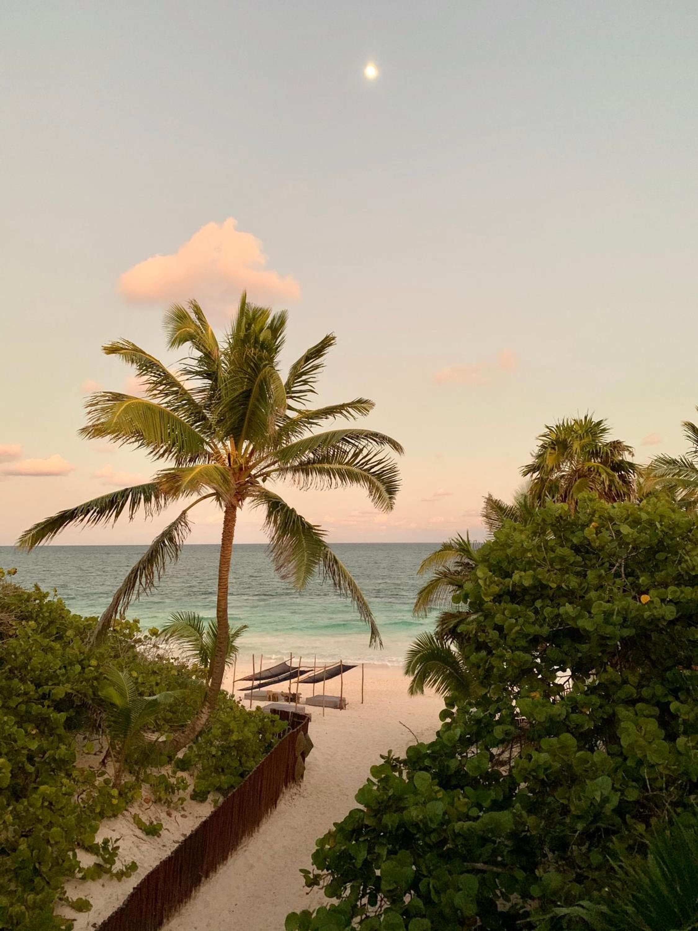Libelula Tulum Beachfront Hotel — 25