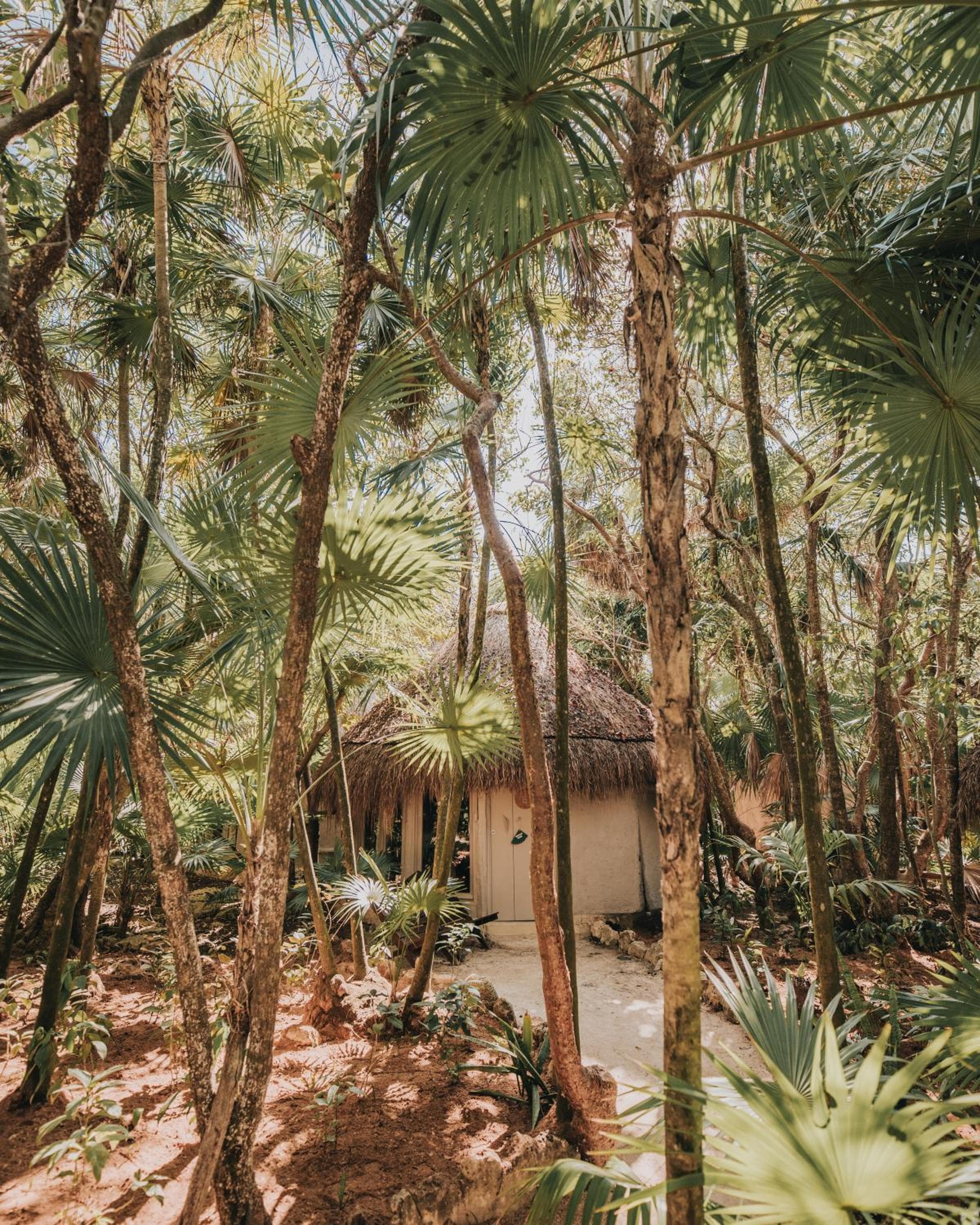Progetto Papaya Playa — 24
