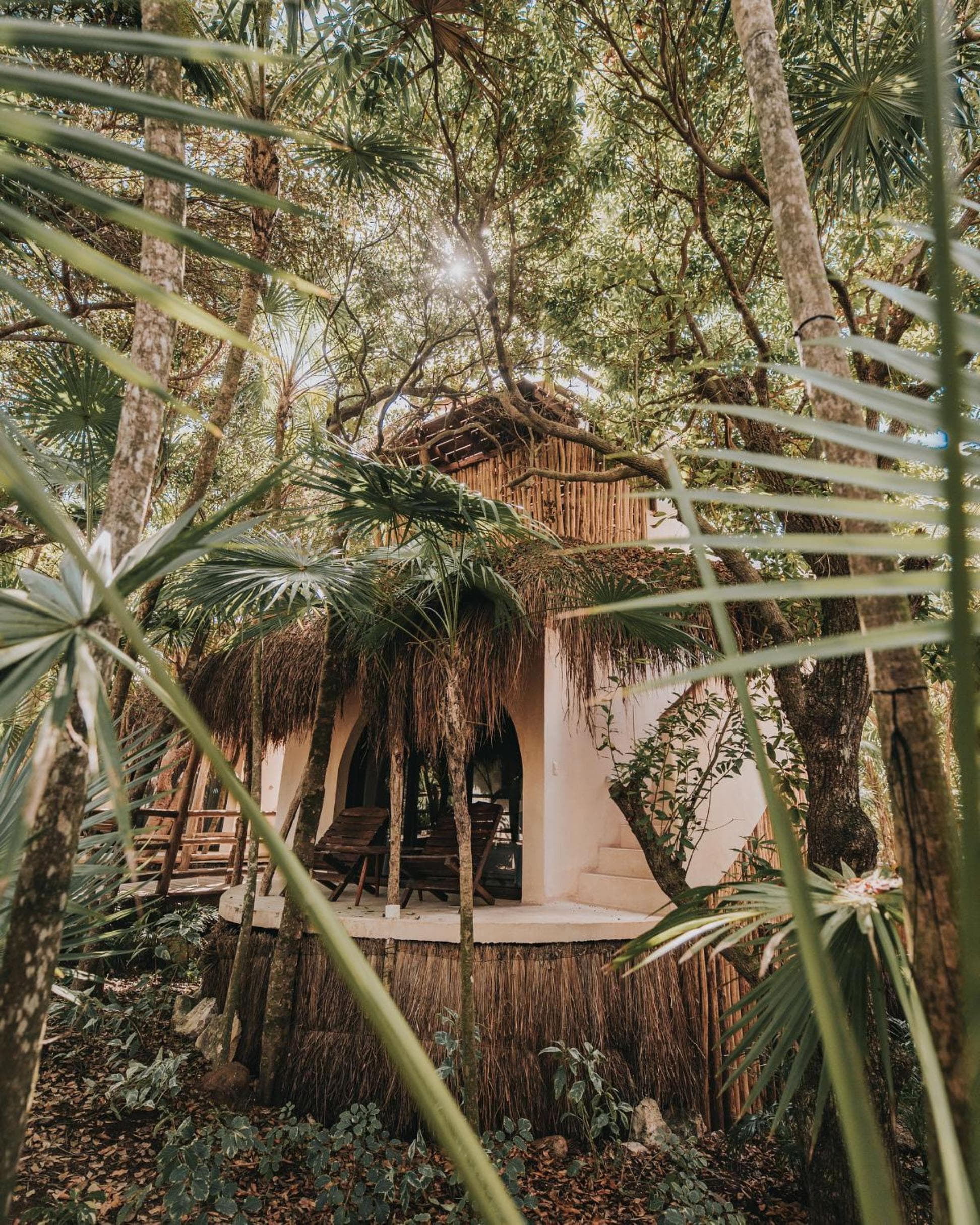 Progetto Papaya Playa — 22