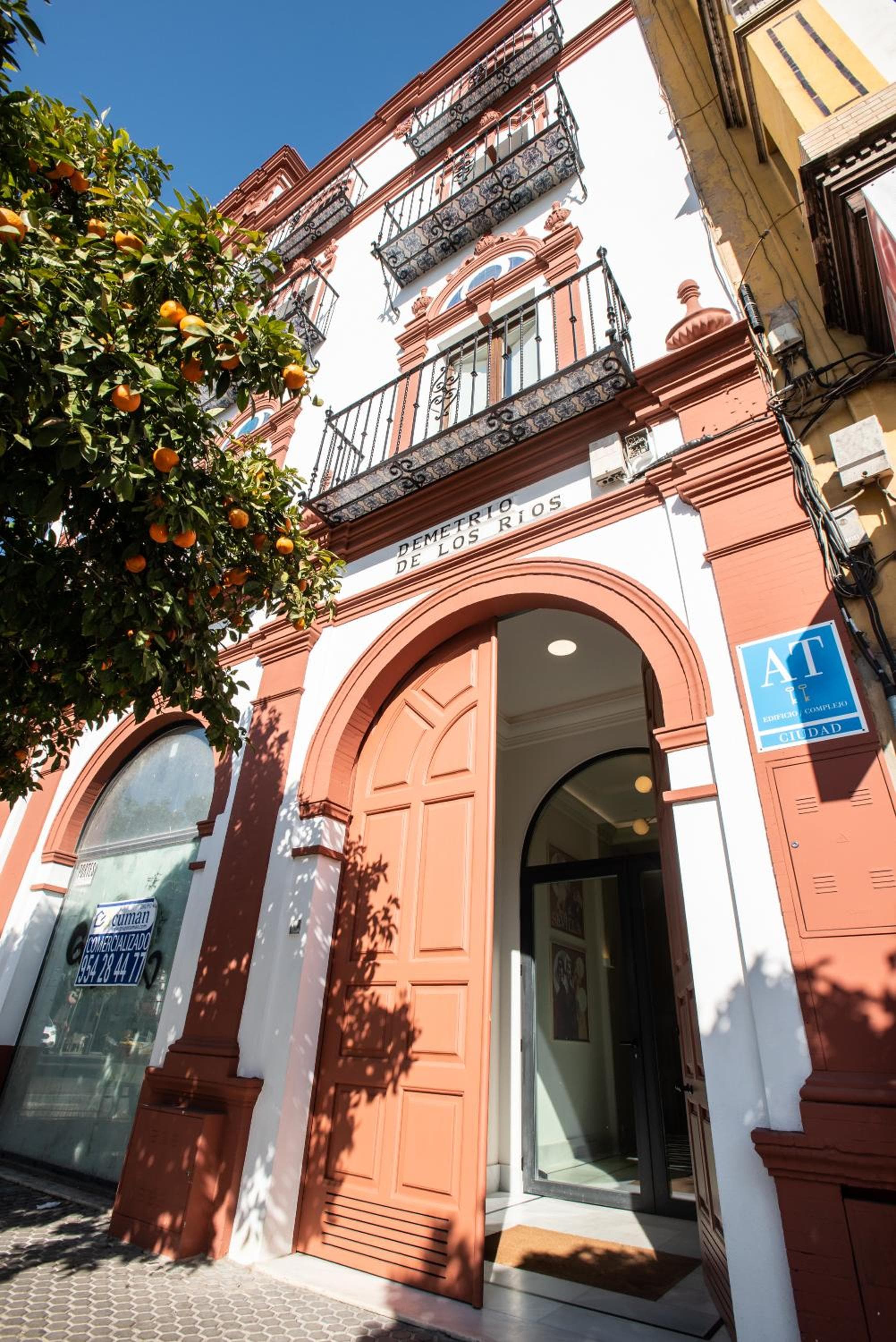 nüa torreón — 3