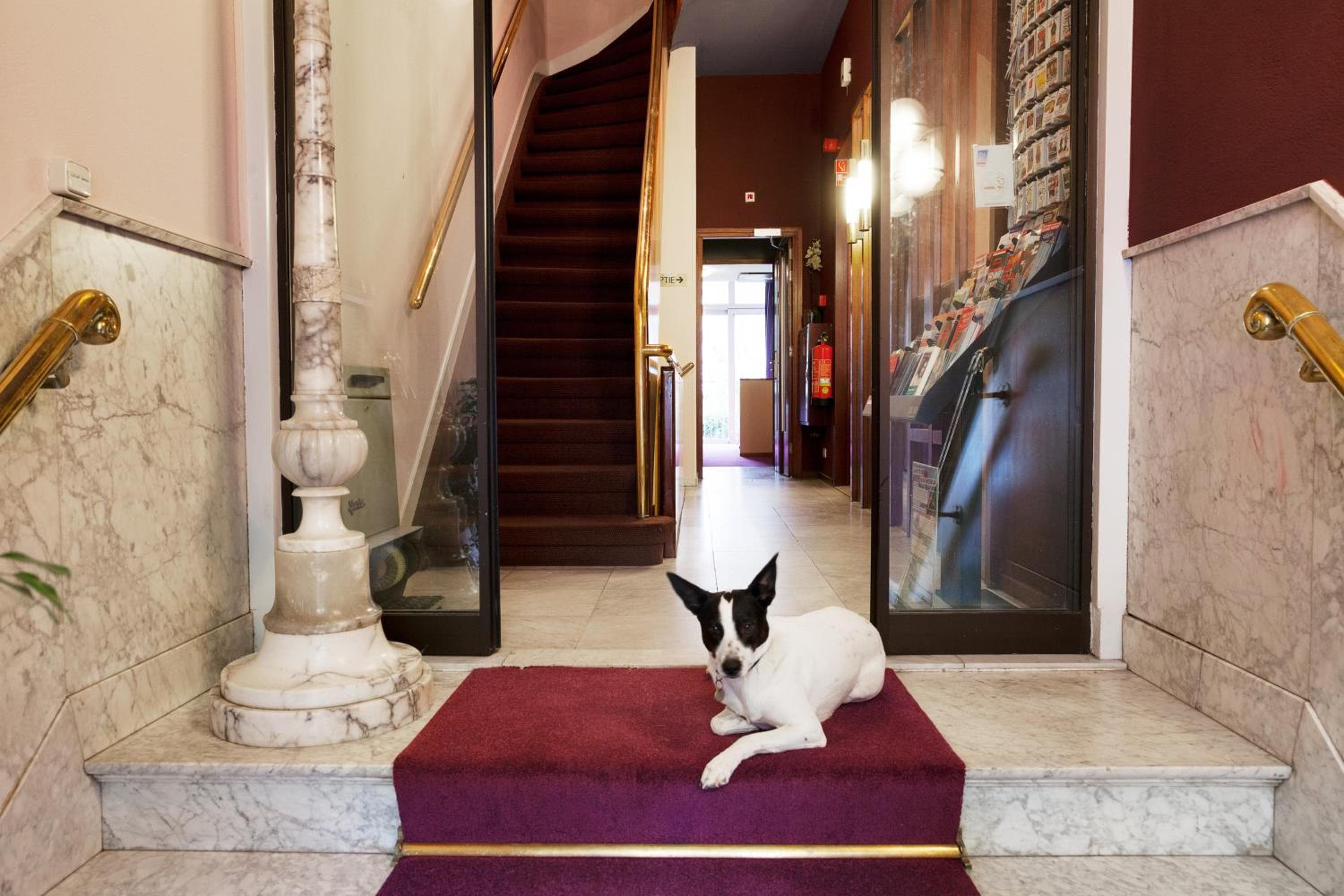Hotel La Magnolia del Vicino — 17