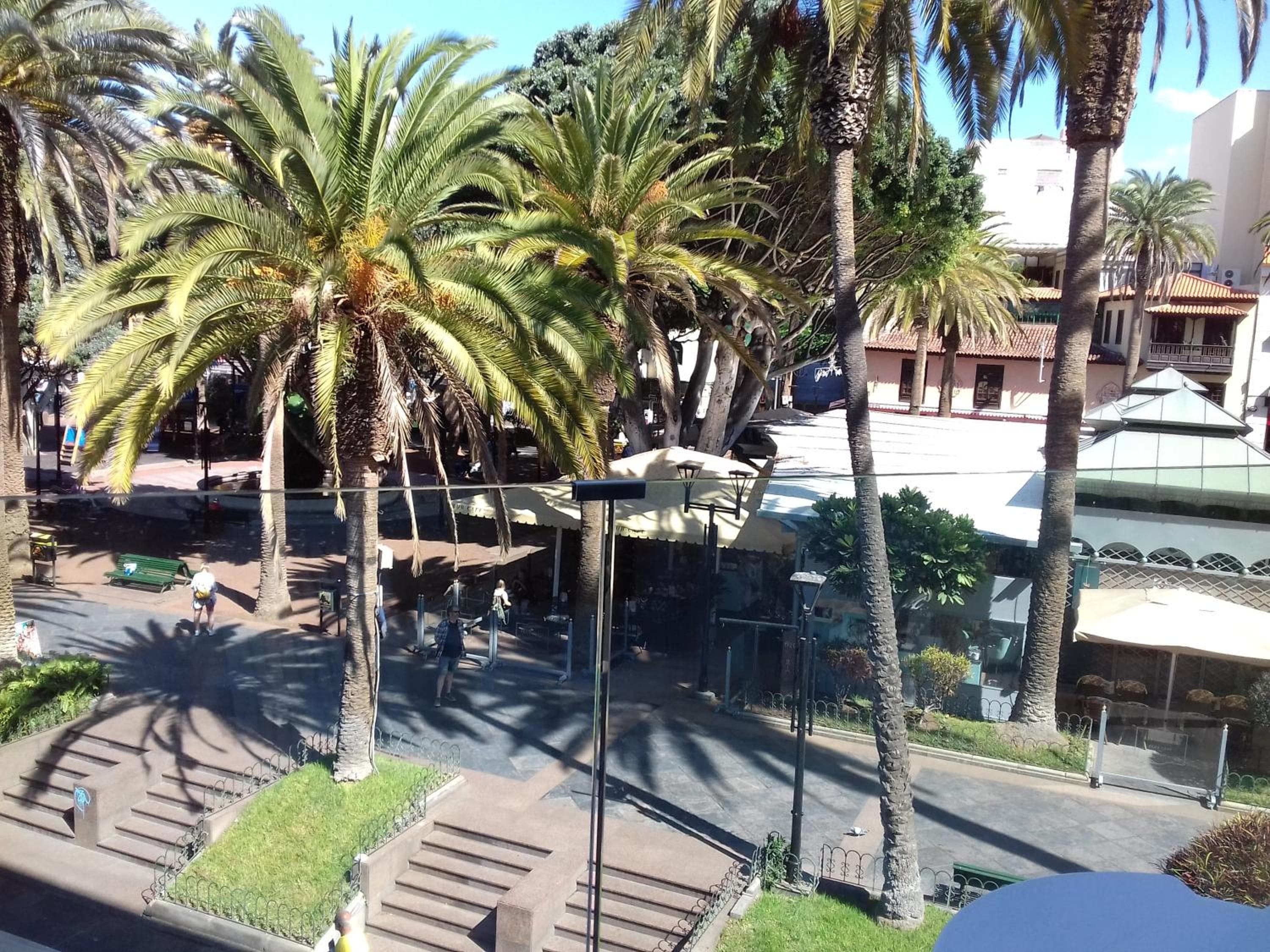 Hotel Tropical — 4