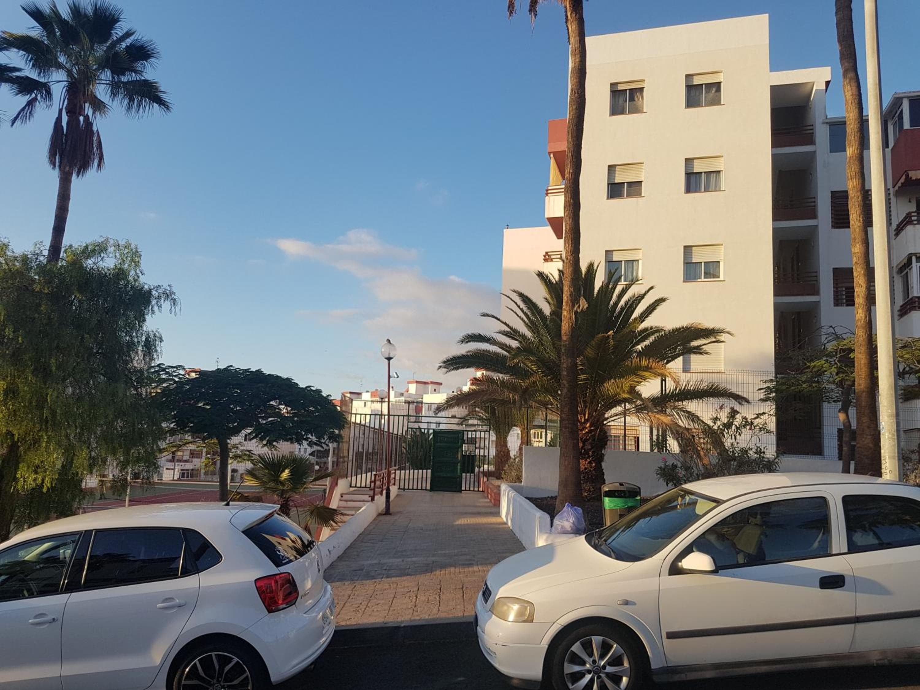 Palmeras del Sur Juan — 5
