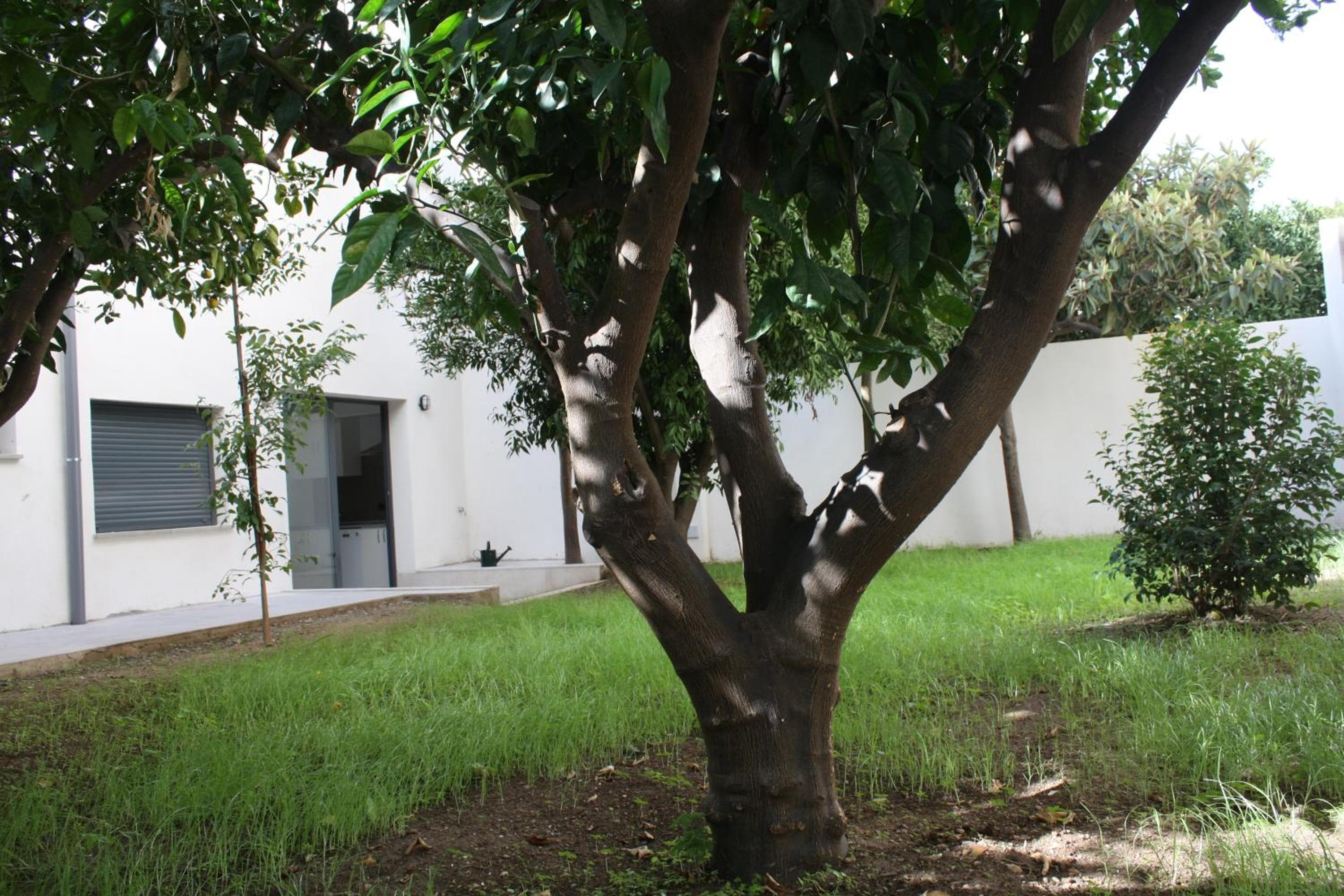 Residencia Mayol - Sólo Adultos — 3