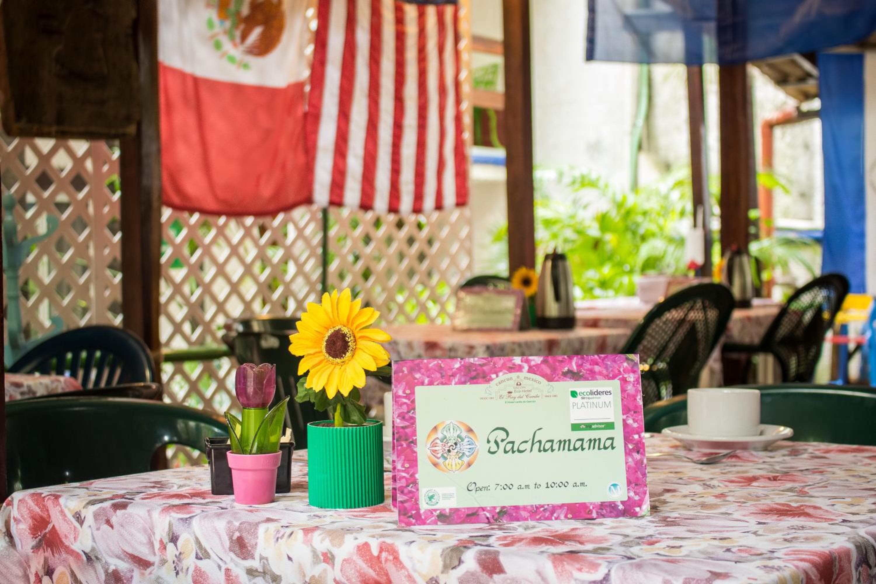 Eco-hotel El Rey del Caribe — 13