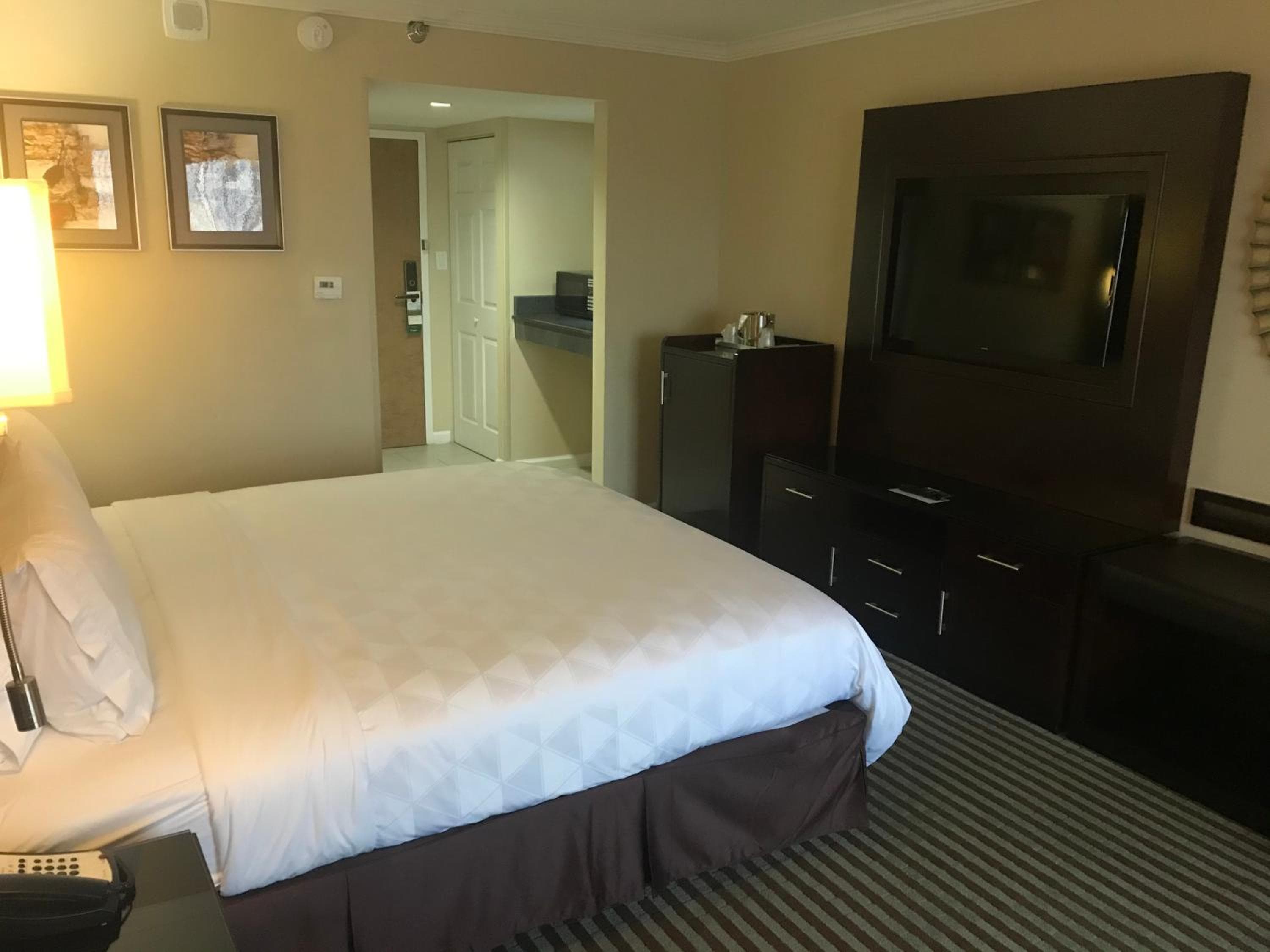 Holiday Inn Orlando East-UCF Area by IHG — 8