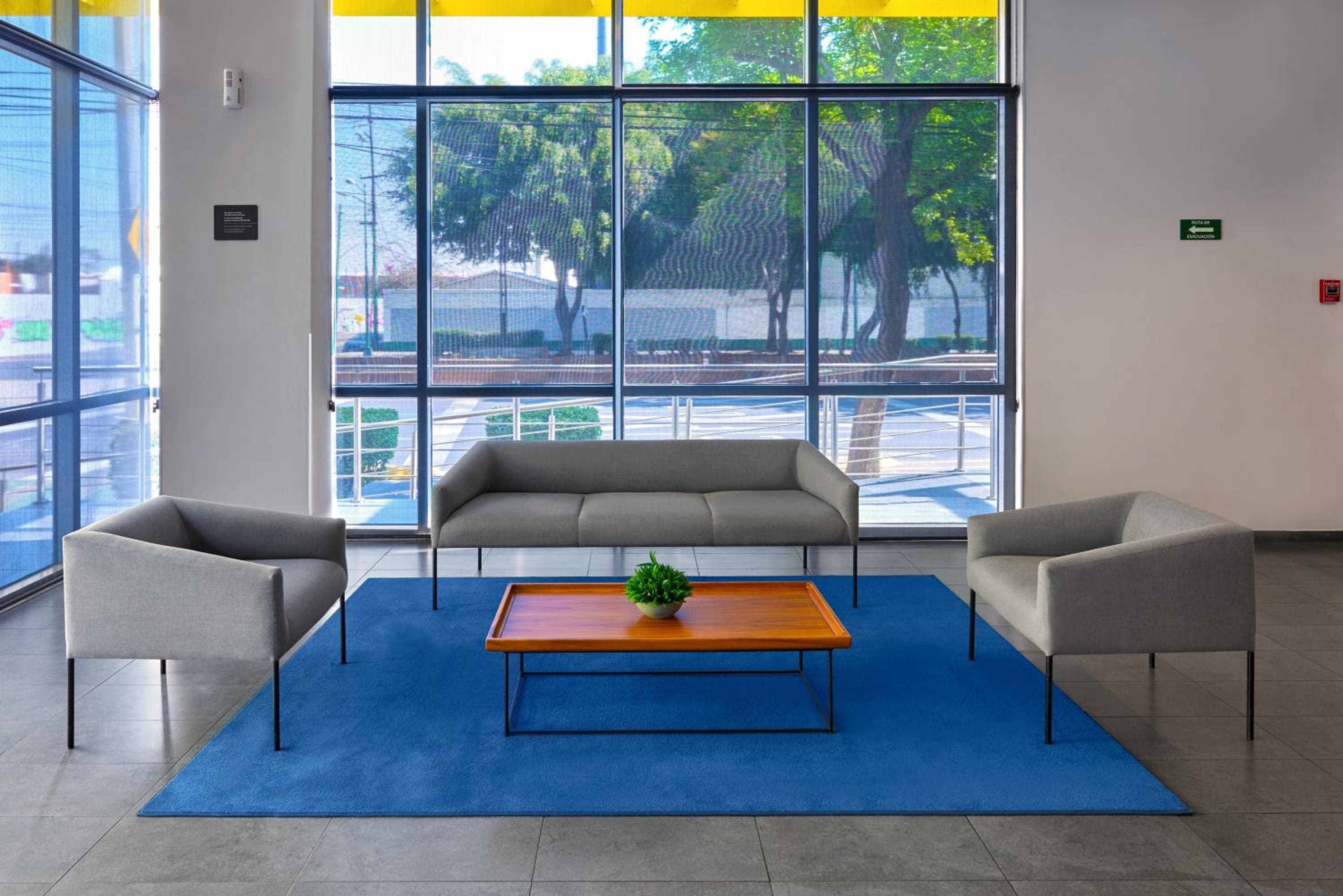 City Express by Marriott CDMX La Villa — 14