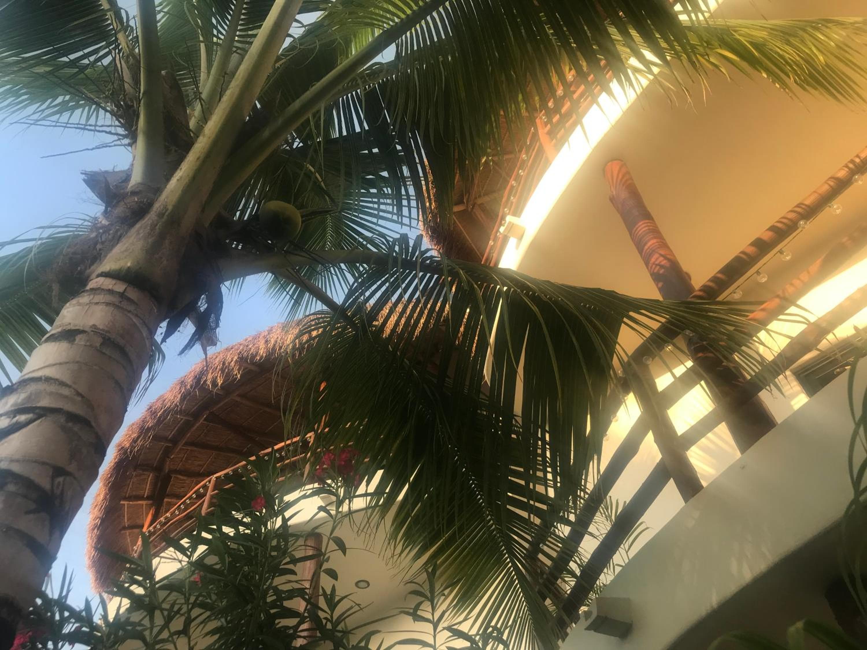 Tua Tulum Apartments spaziosi e confortevoli — 1
