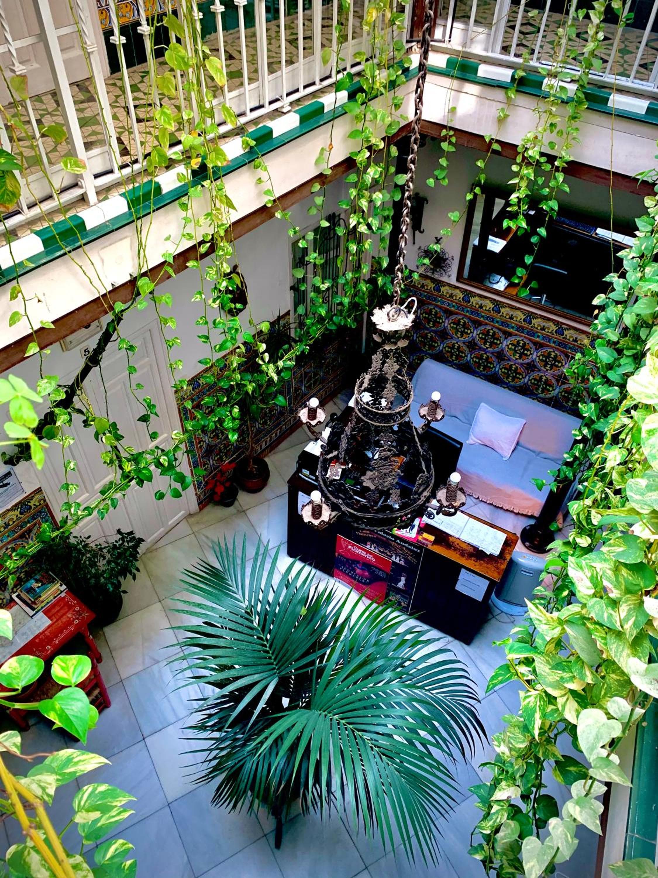 Hostal Lis — 29