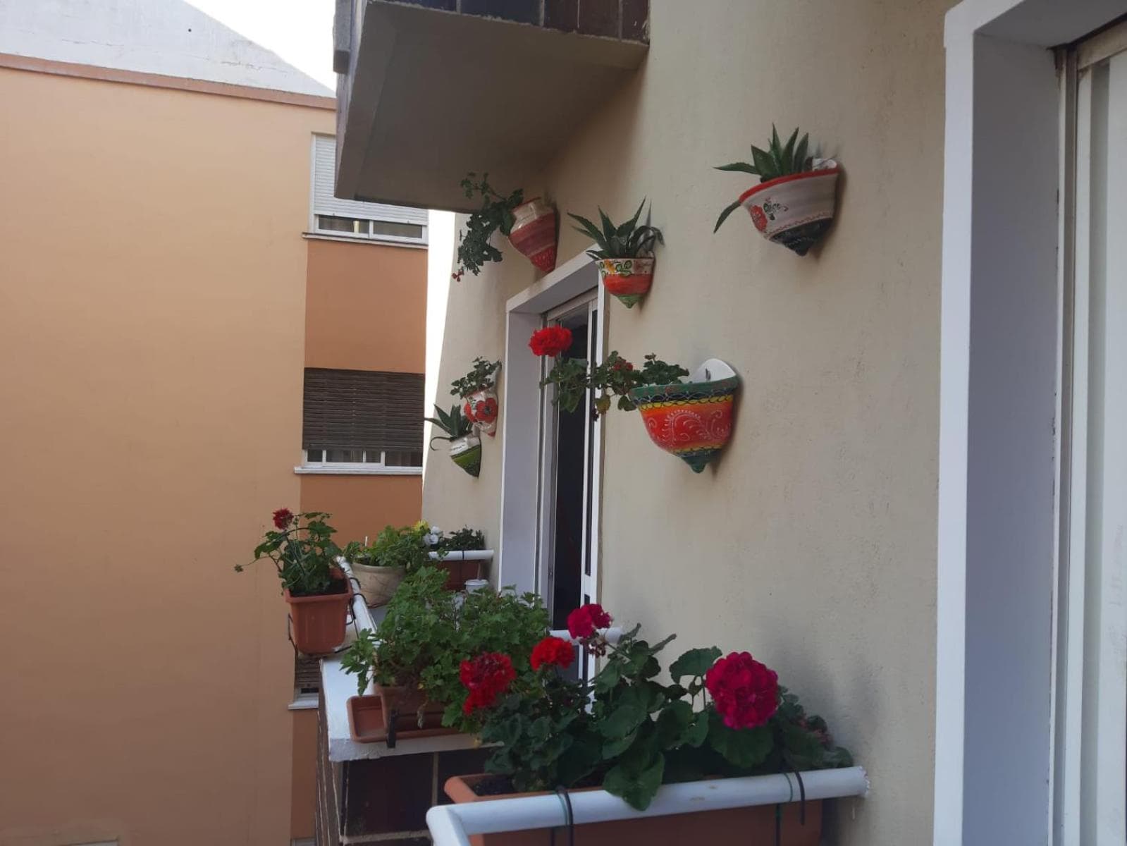 La Casa de La Abuela Rosy — 18