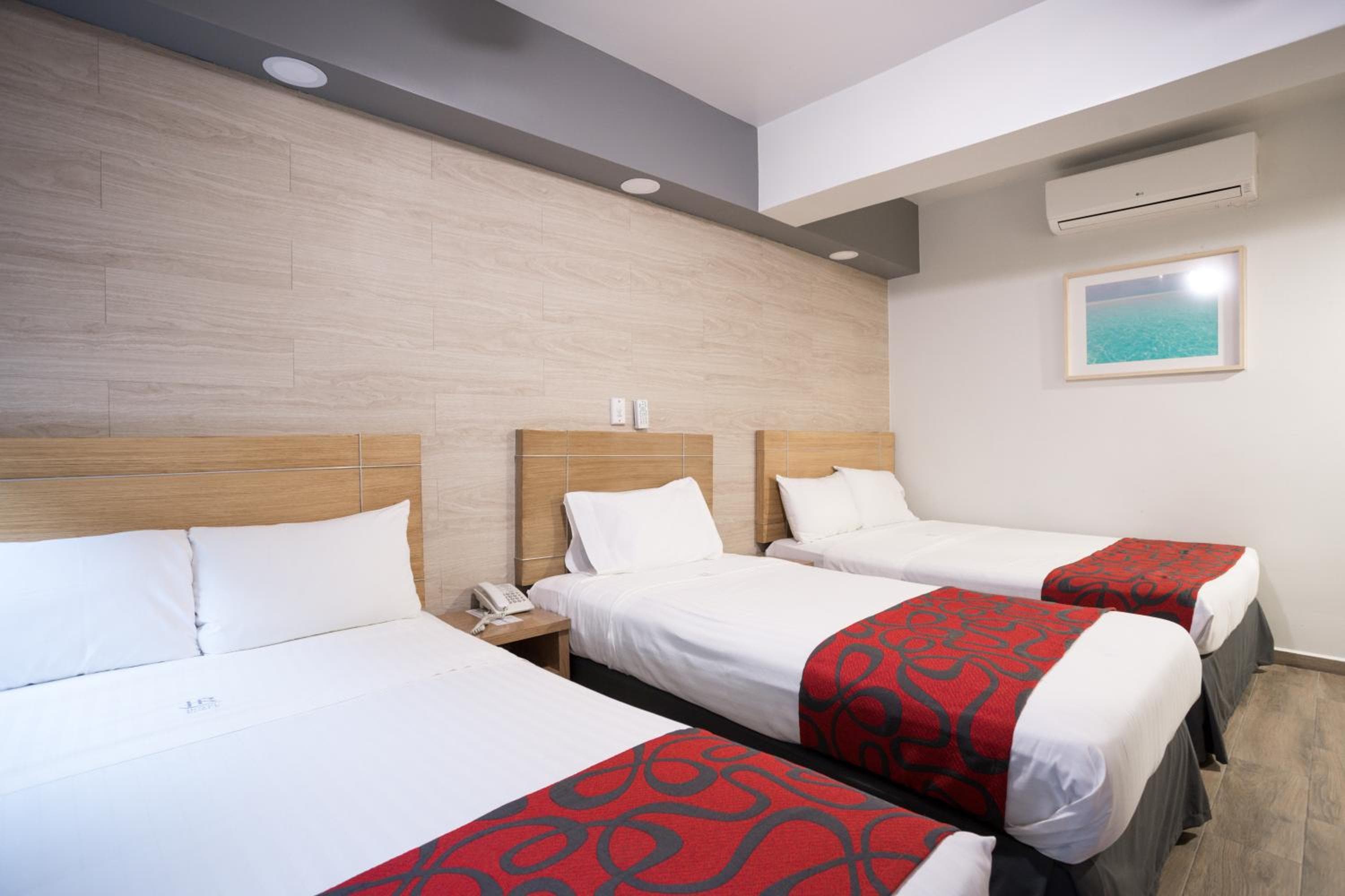 Hotel Roble — 8