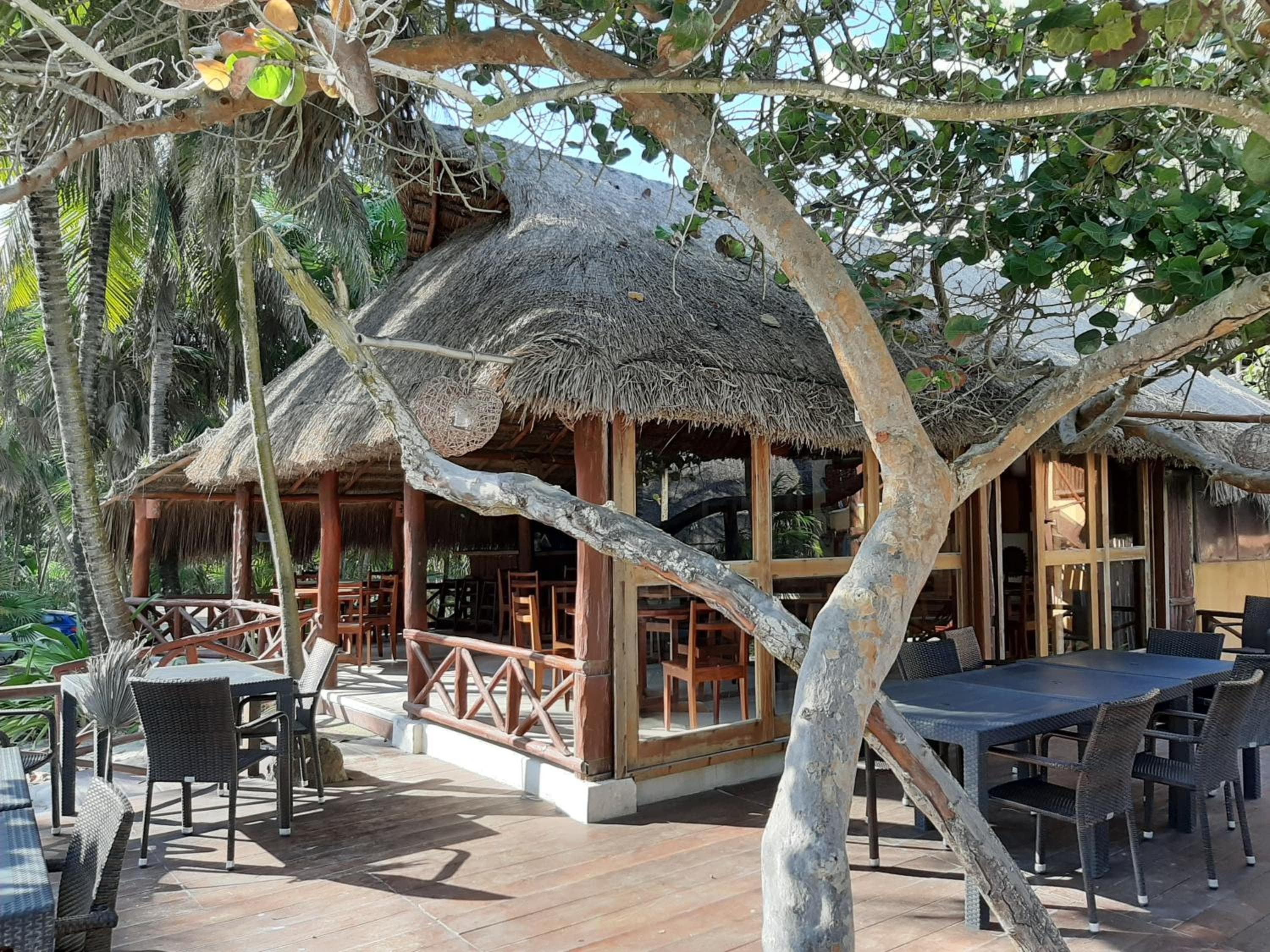 BT Live Tulum located at the party zone — 2
