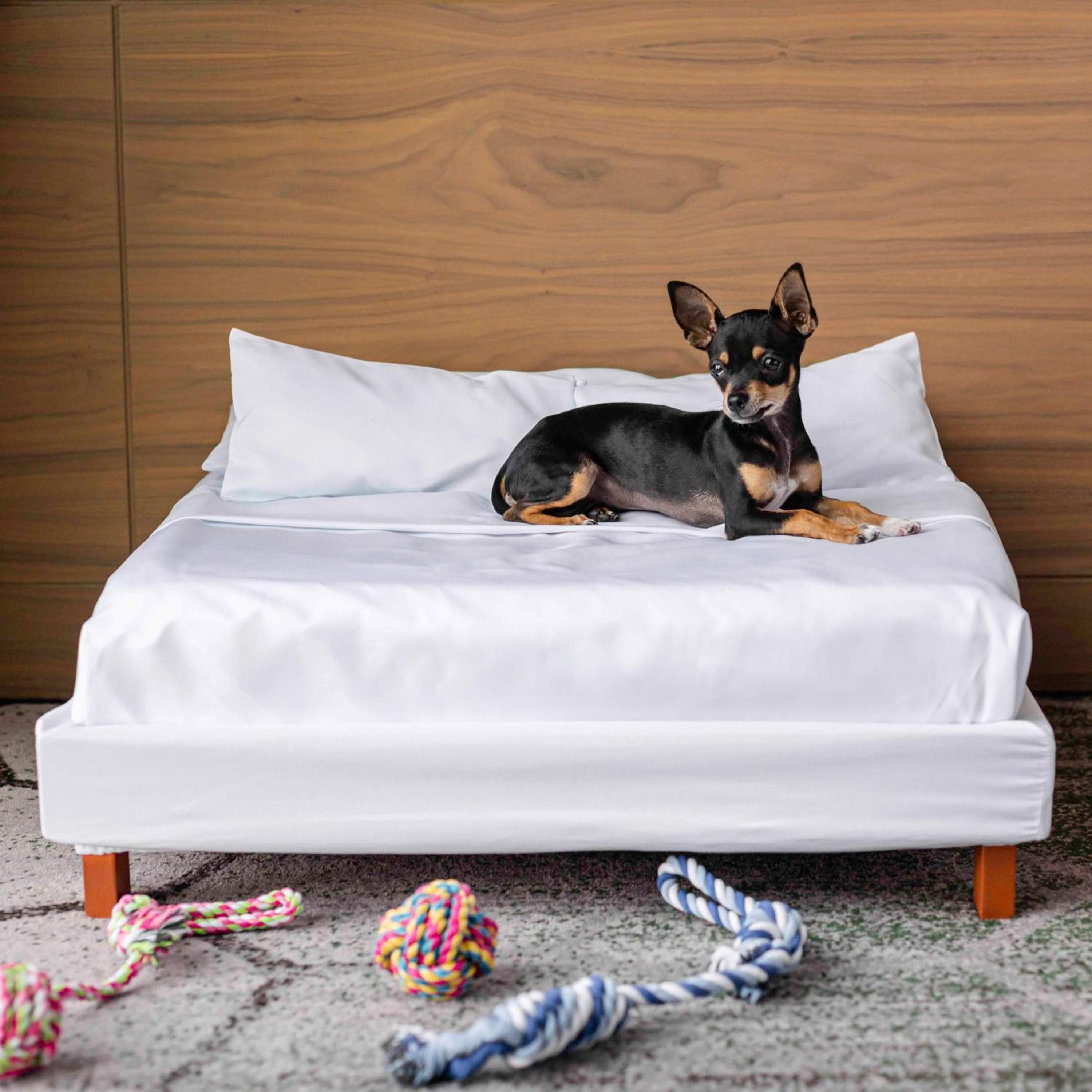 Sofitel Mexico City Reforma hotel, 297 Avenue Paseo De La Reforma, Mexico City, Mexico — photo 70