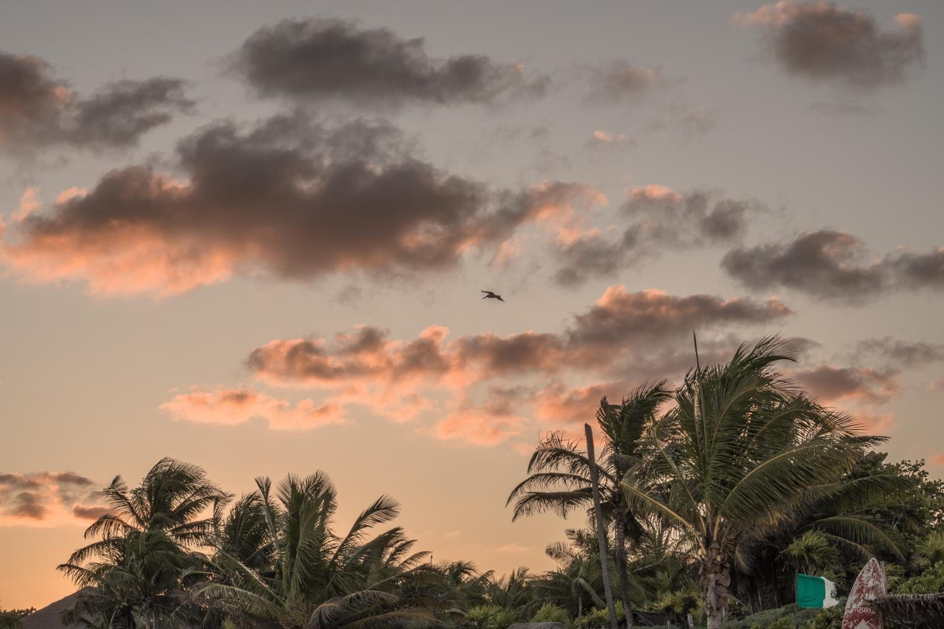 Playa Esperanza Tulum — 8