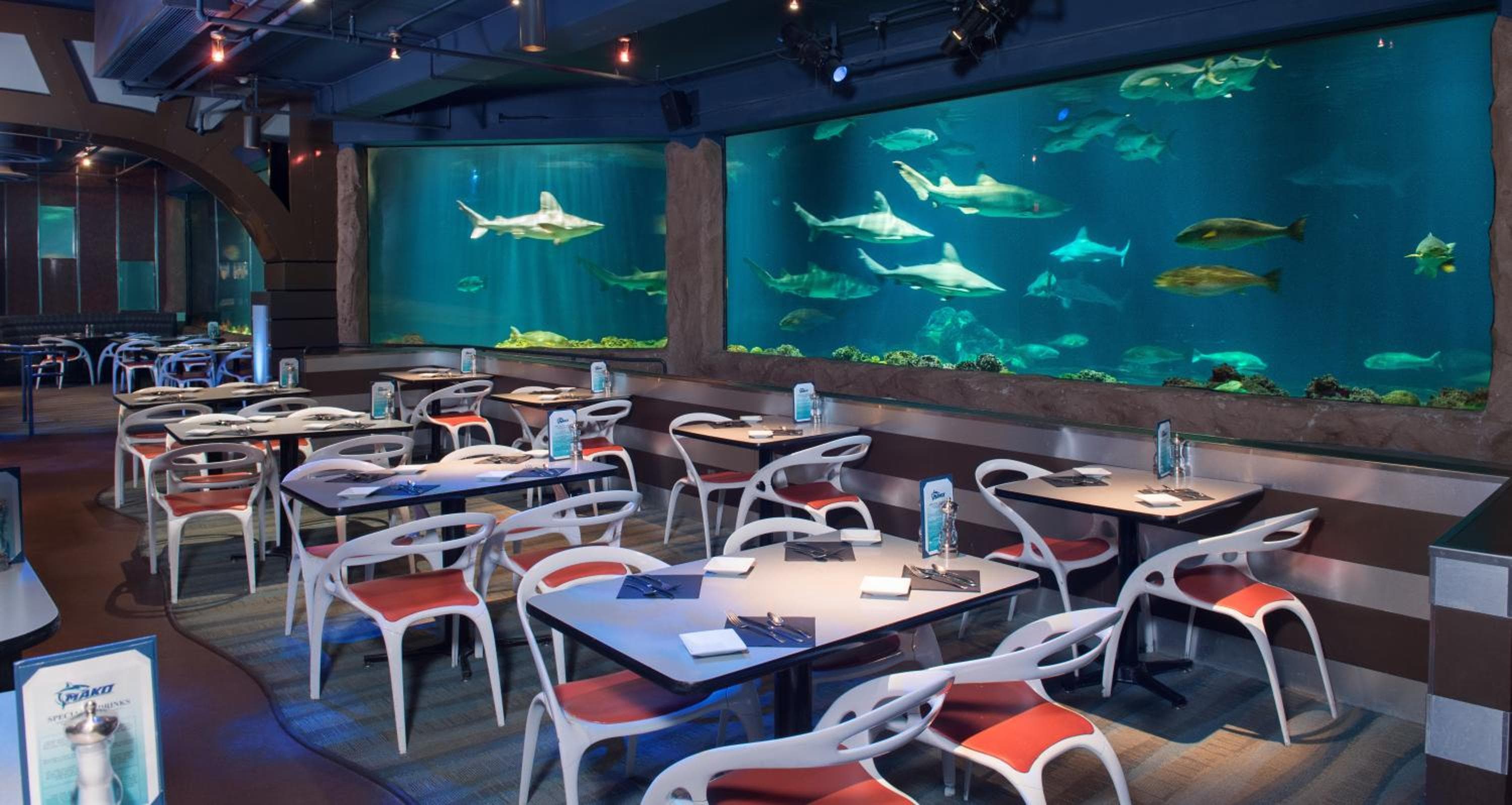 Staybridge Suites Orlando en SeaWorld, an IHG Hotel — 11