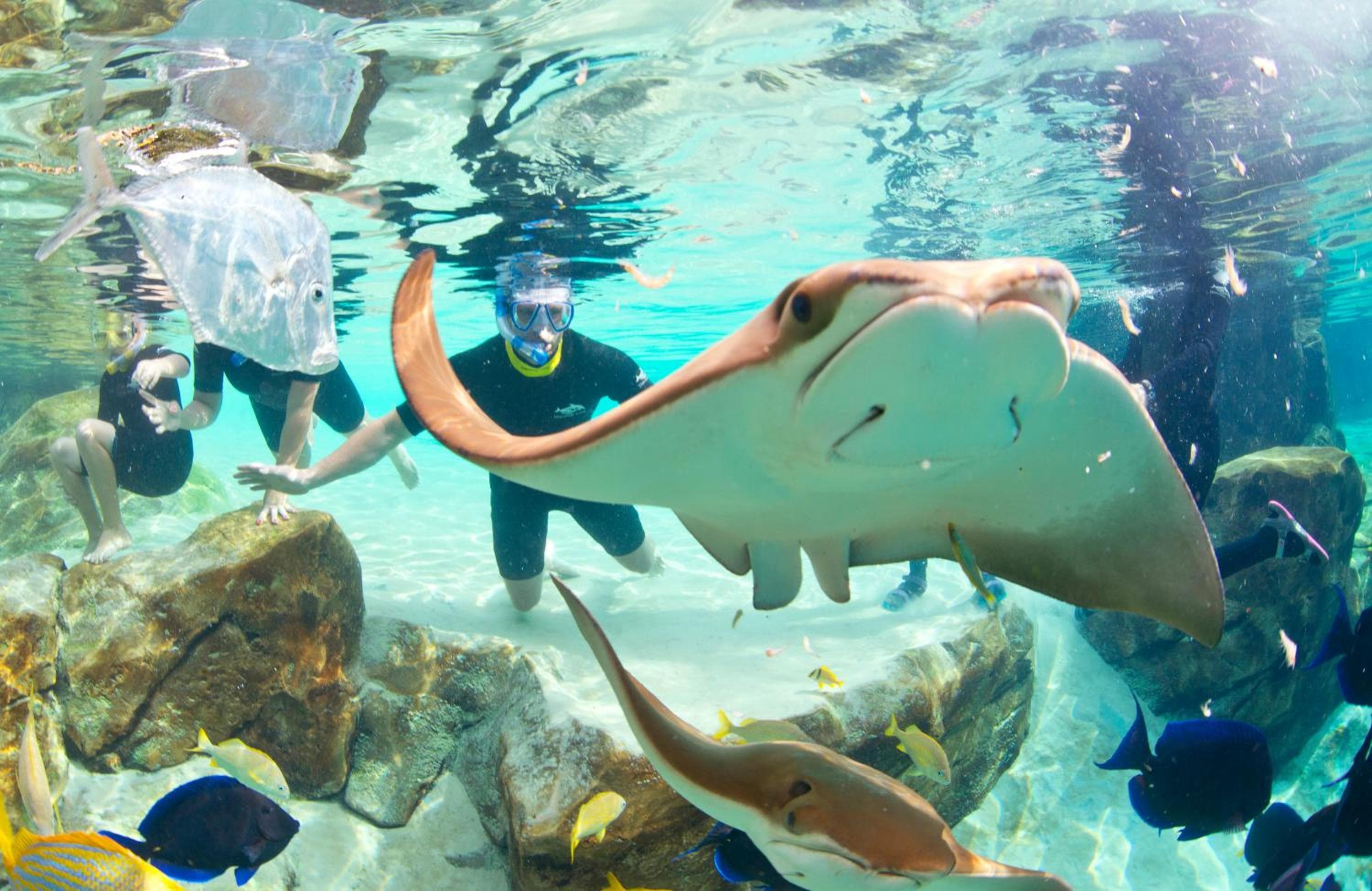 Staybridge Suites Orlando en SeaWorld, an IHG Hotel — 12