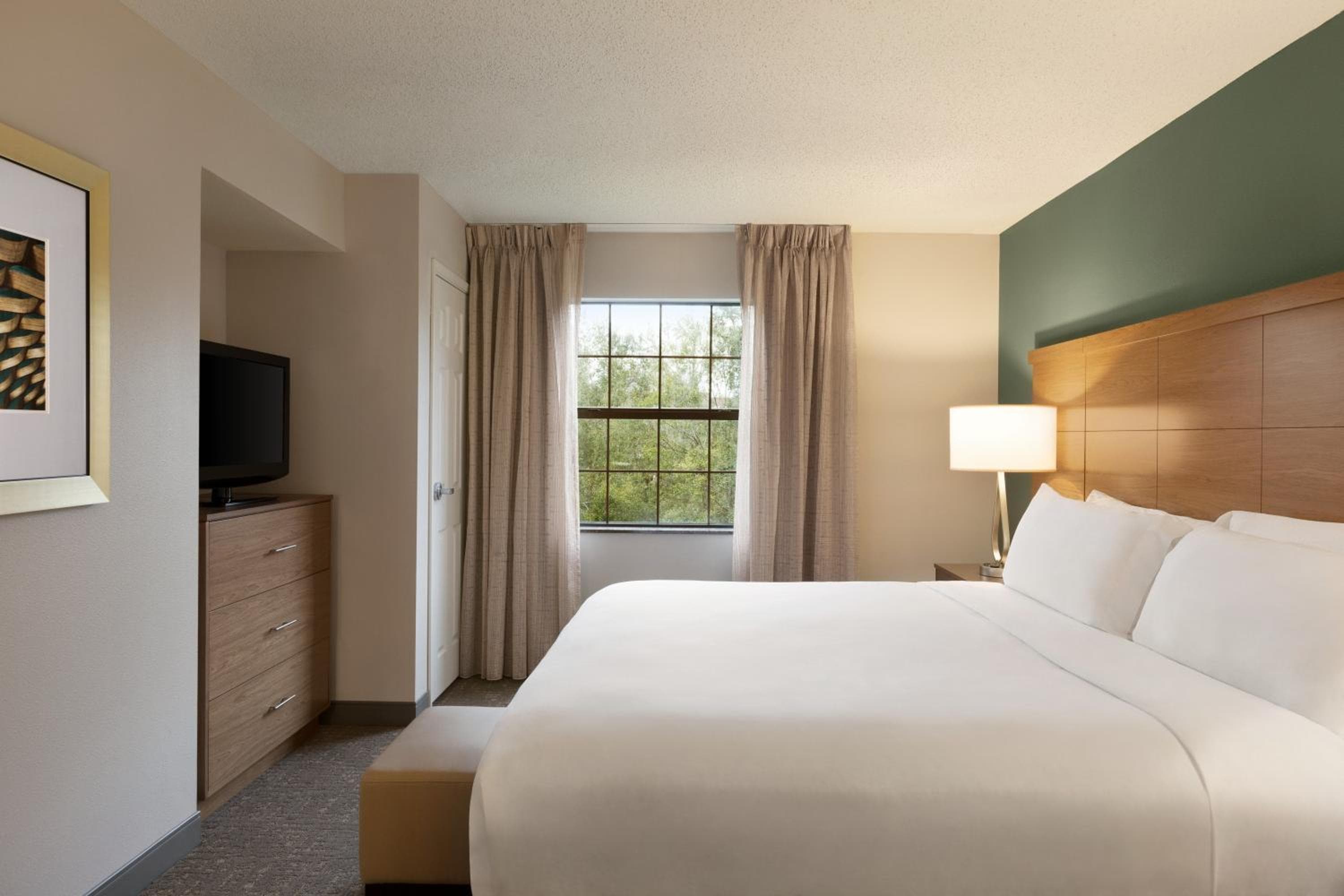Staybridge Suites Tampa East- Brandon by IHG — 3