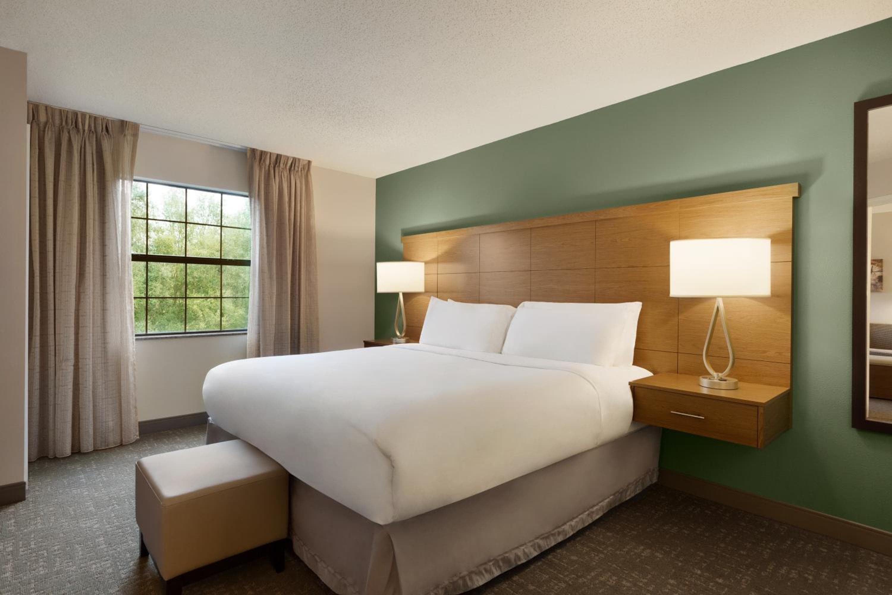 Staybridge Suites Tampa East- Brandon by IHG — 11
