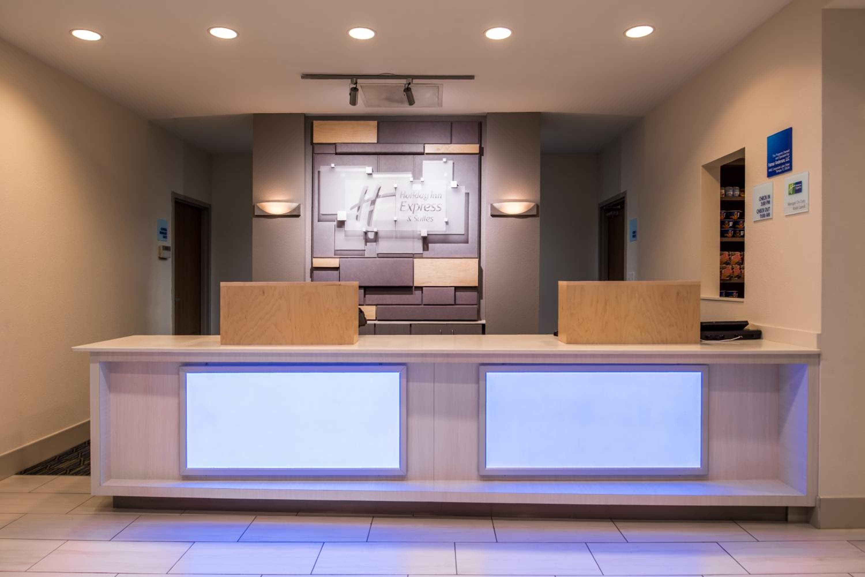 Holiday Inn Express Hotel & Suites Tampa-Anderson Road-Veterans Exp, ein IHG Hotel — 6
