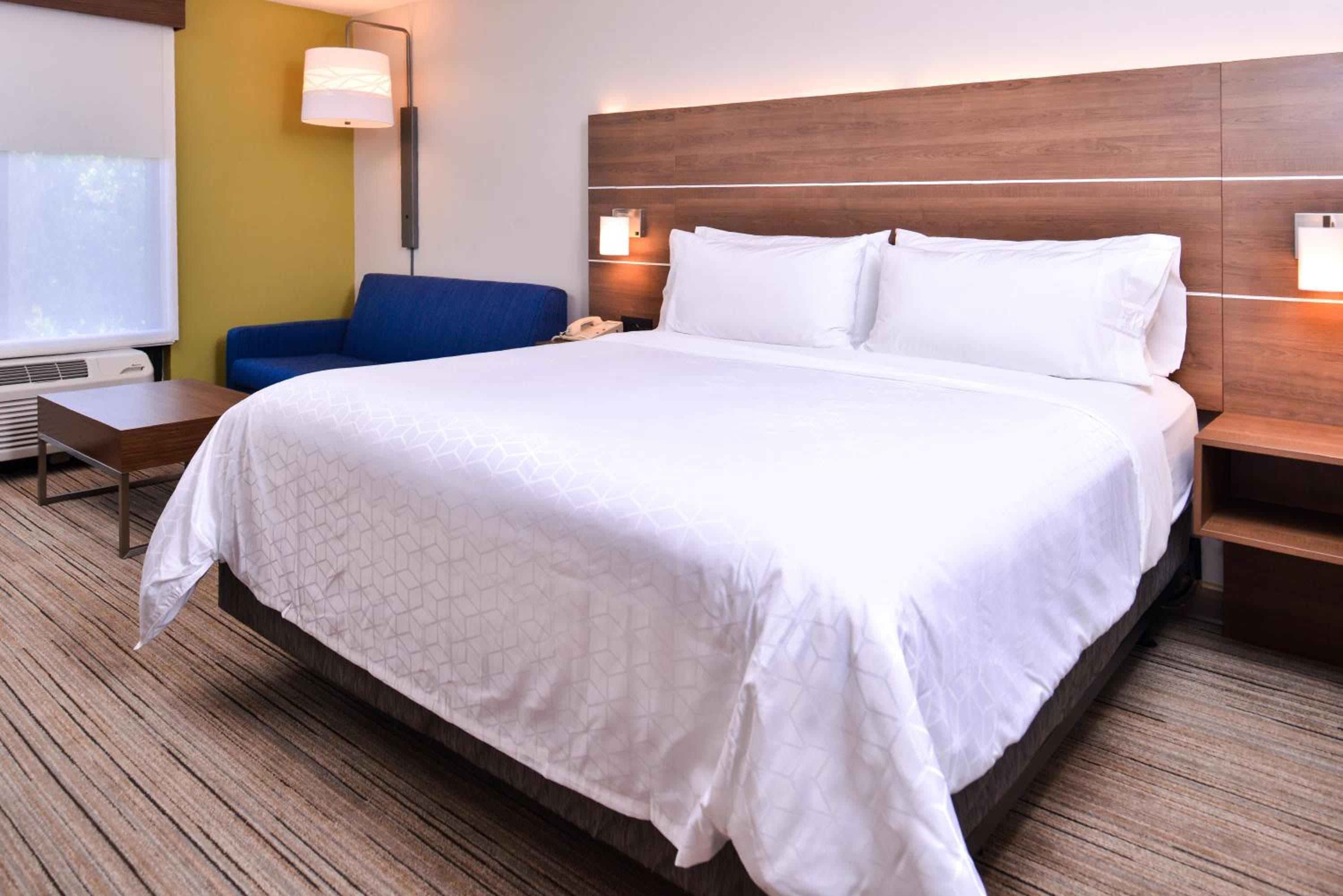 Holiday Inn Express Hotel & Suites Tampa-Anderson Road-Veterans Exp, ein IHG Hotel — 11