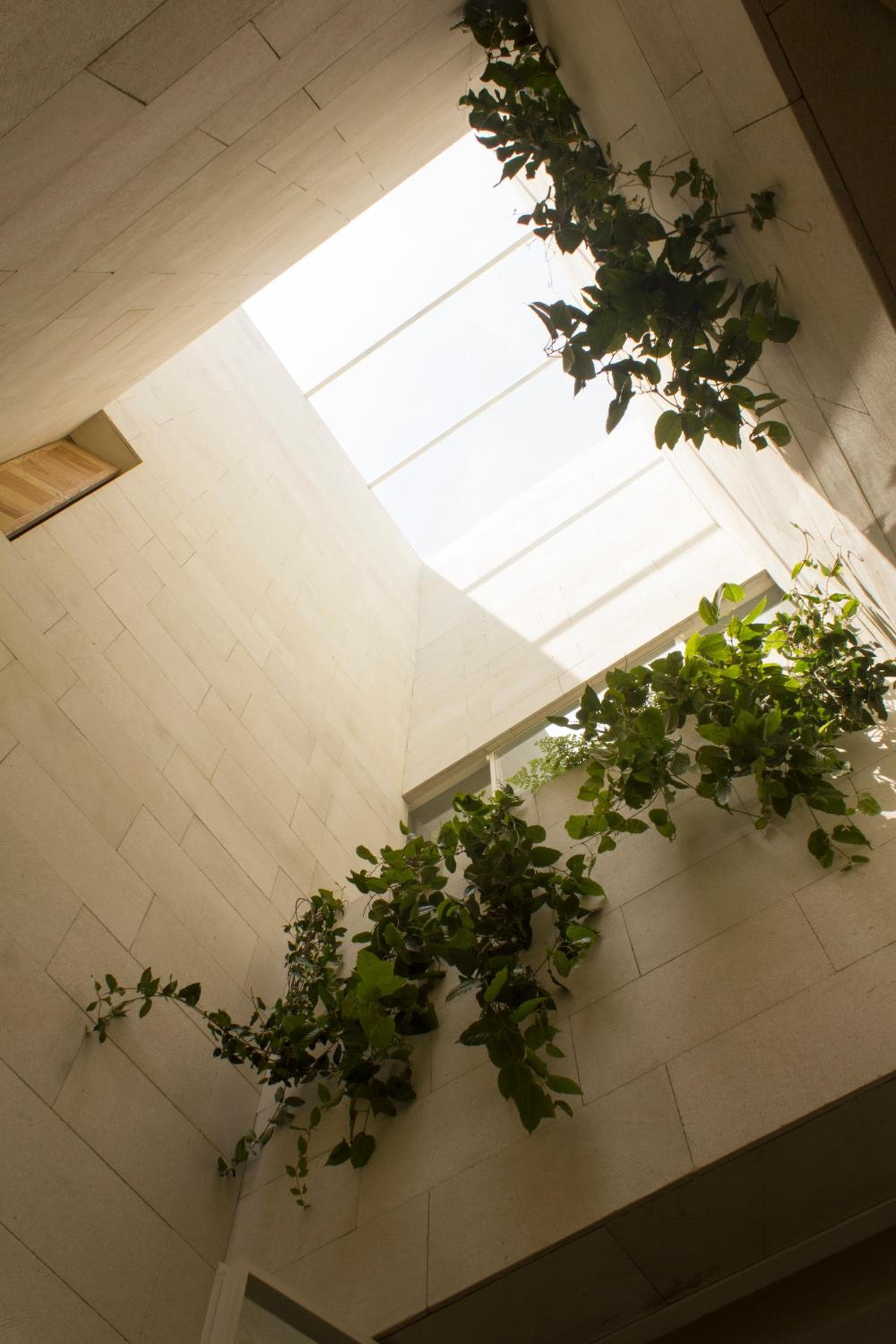 Círculo Mexicano, a Member of Design Hotels — 14