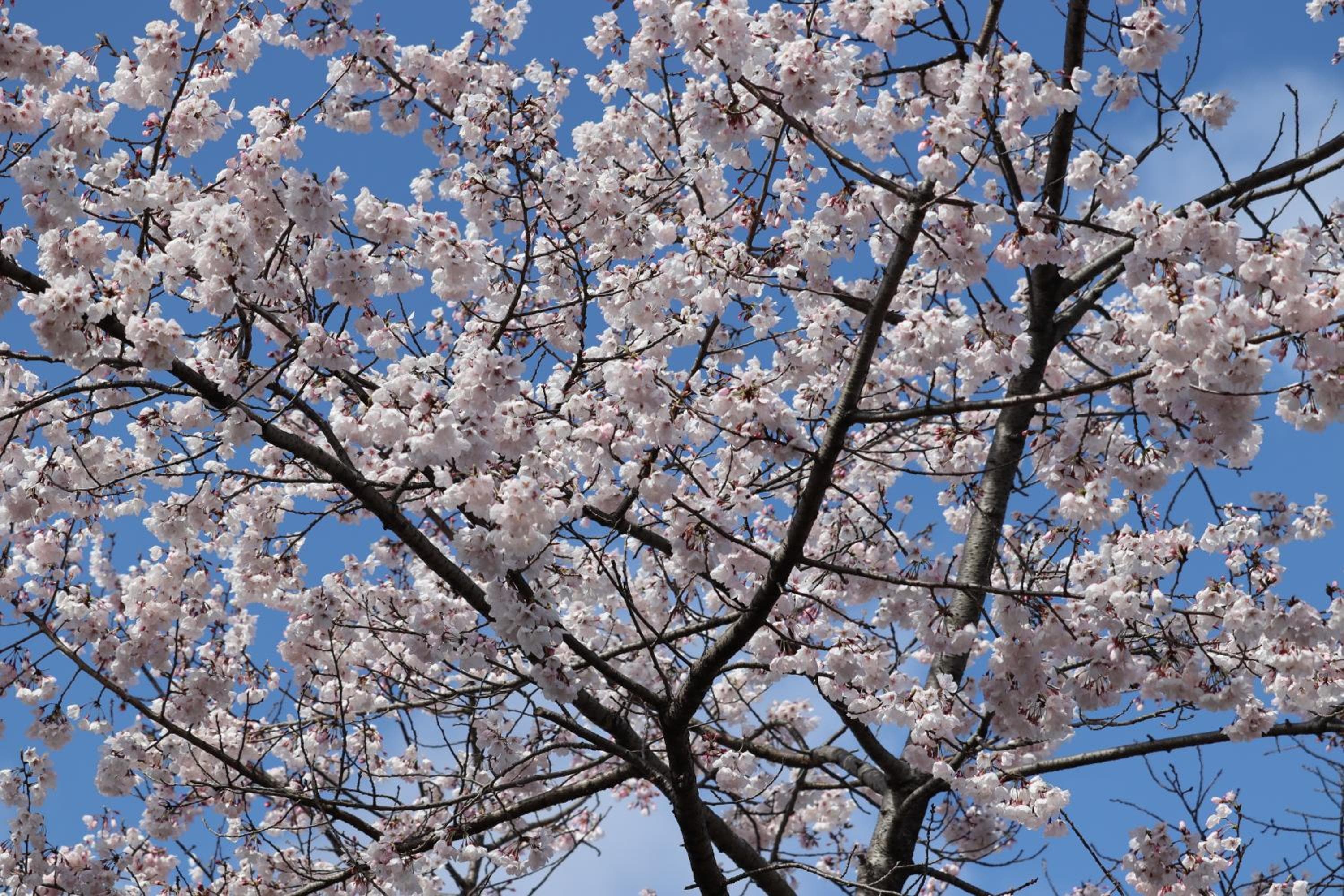 The Gate Hotel Kyoto Takasegawa by Hulic hotel, Nakagyo-ku Bizenjimacho 310-2, Kyoto, Japan — photo 83